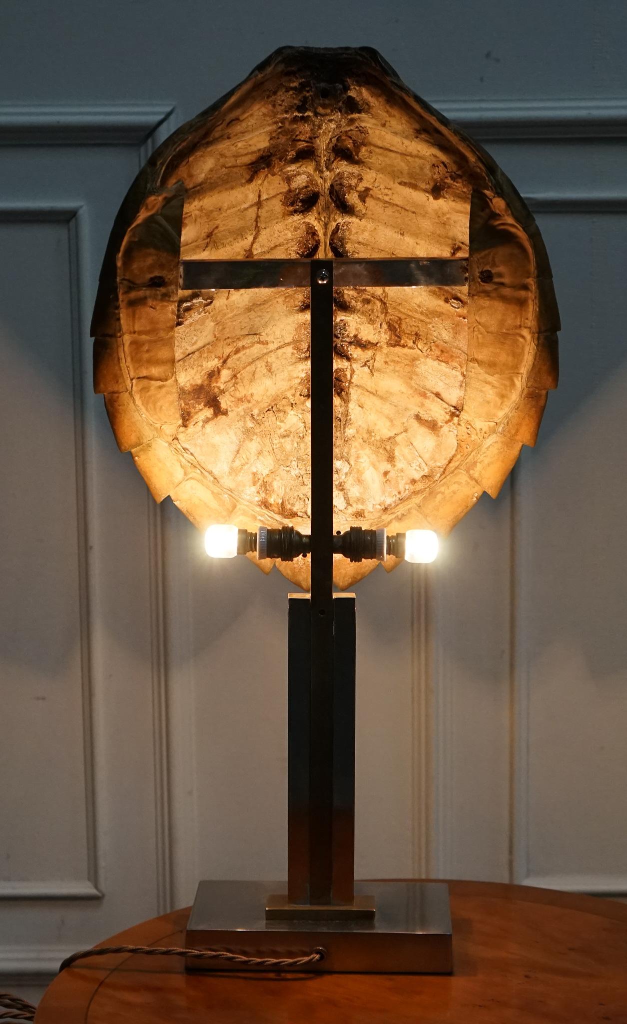Britannique CIRCA 1960'S RARE TURTLE TORTOiSE TABLE LAMP ON ART DECO STYLE STAND en vente