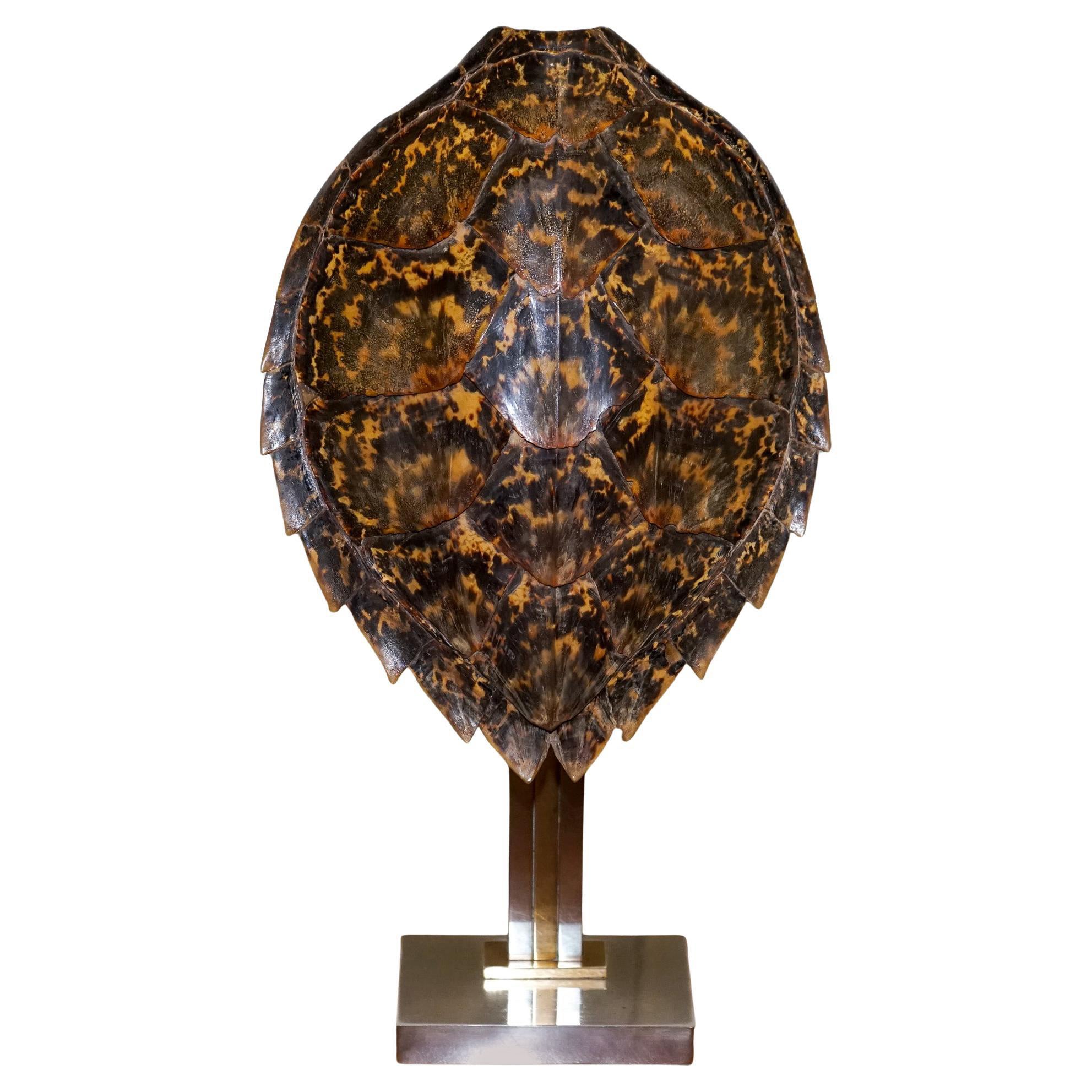 CIRCA 1960
S RARE TURTLE TORTOiSE TABLE LAMP ON ART DECO STYLE STAND