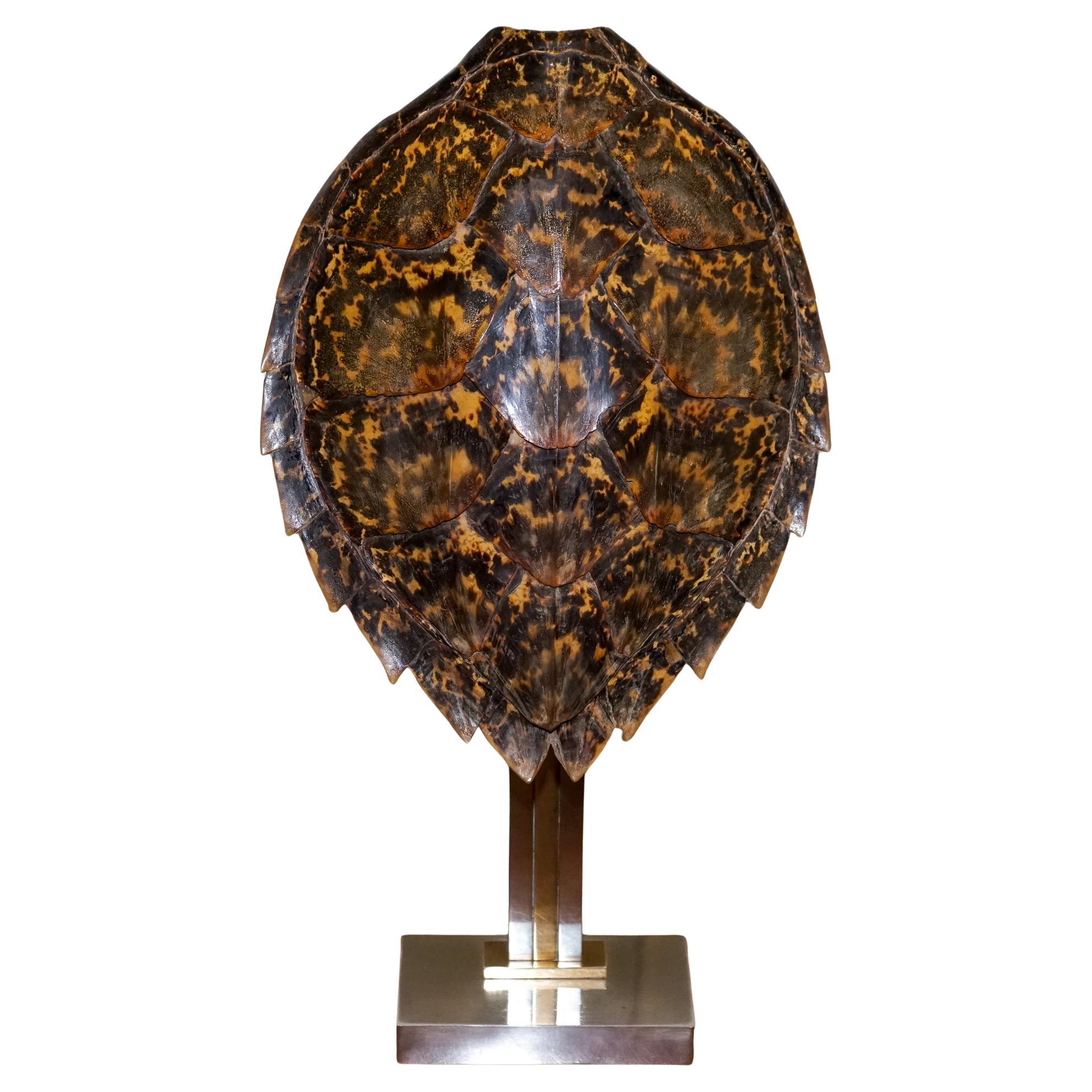 CIRCA 1960'S RARE TURTLE TORTOiSE TABLE LAMP ON ART DECO STYLE STAND en vente