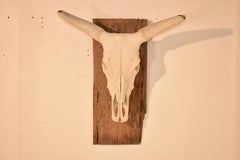 Circa 1970's Mounted Steer Skull