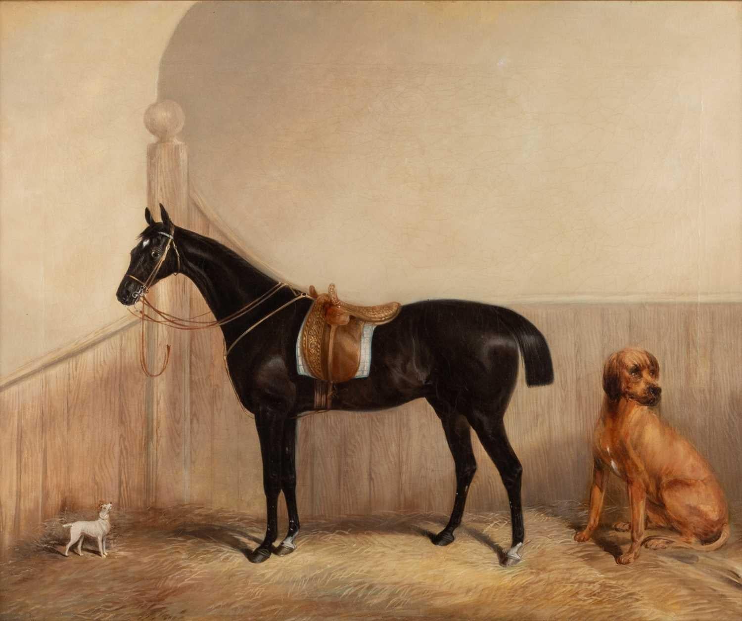 Kreis von Albert H. Clark (fl.1821-1900) Reiterpferd im Stall mit Hunden
Gerahmt misst es 60 x 72 cm (23,6
