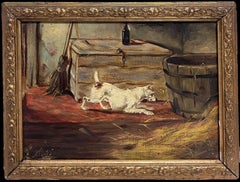 Animal Paintings