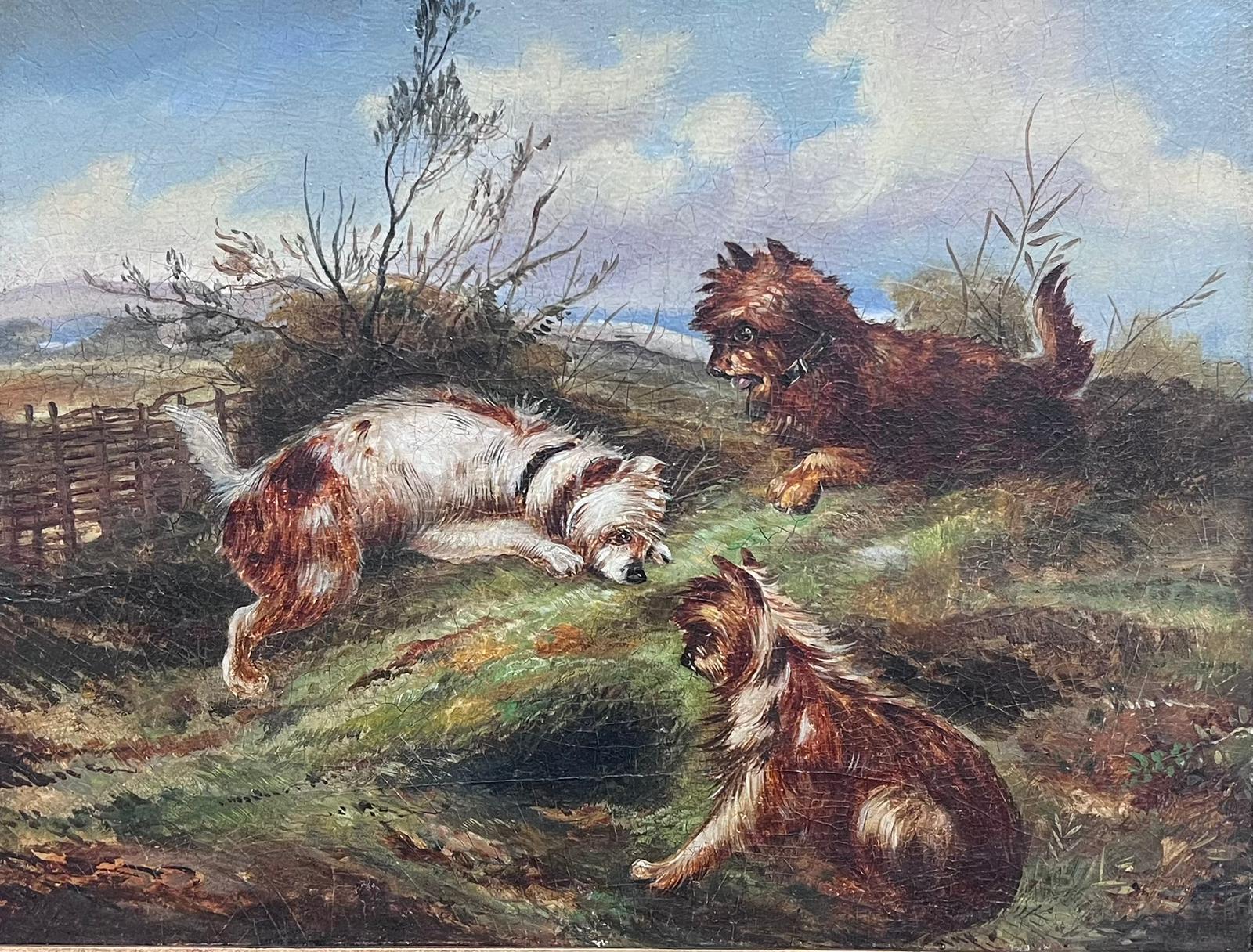 Feines viktorianisches englisches Ölgemälde mit drei Terrierhunden von Kaninchenholz-Landschaft – Painting von Circle of George Armfield (1808-1893)