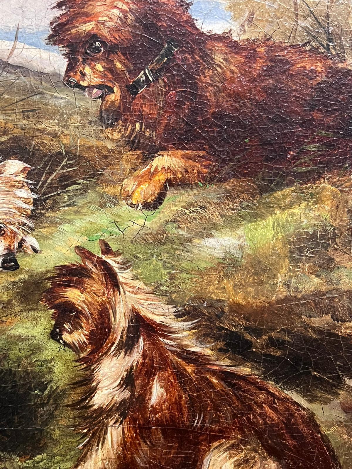 Feines viktorianisches englisches Ölgemälde mit drei Terrierhunden von Kaninchenholz-Landschaft im Angebot 1
