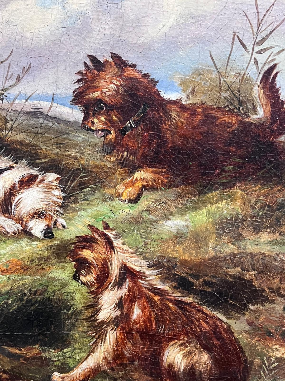 Fine Victorian English Oil Painting Three Terrier Dogs by Rabbit Hole landscape For Sale 5
