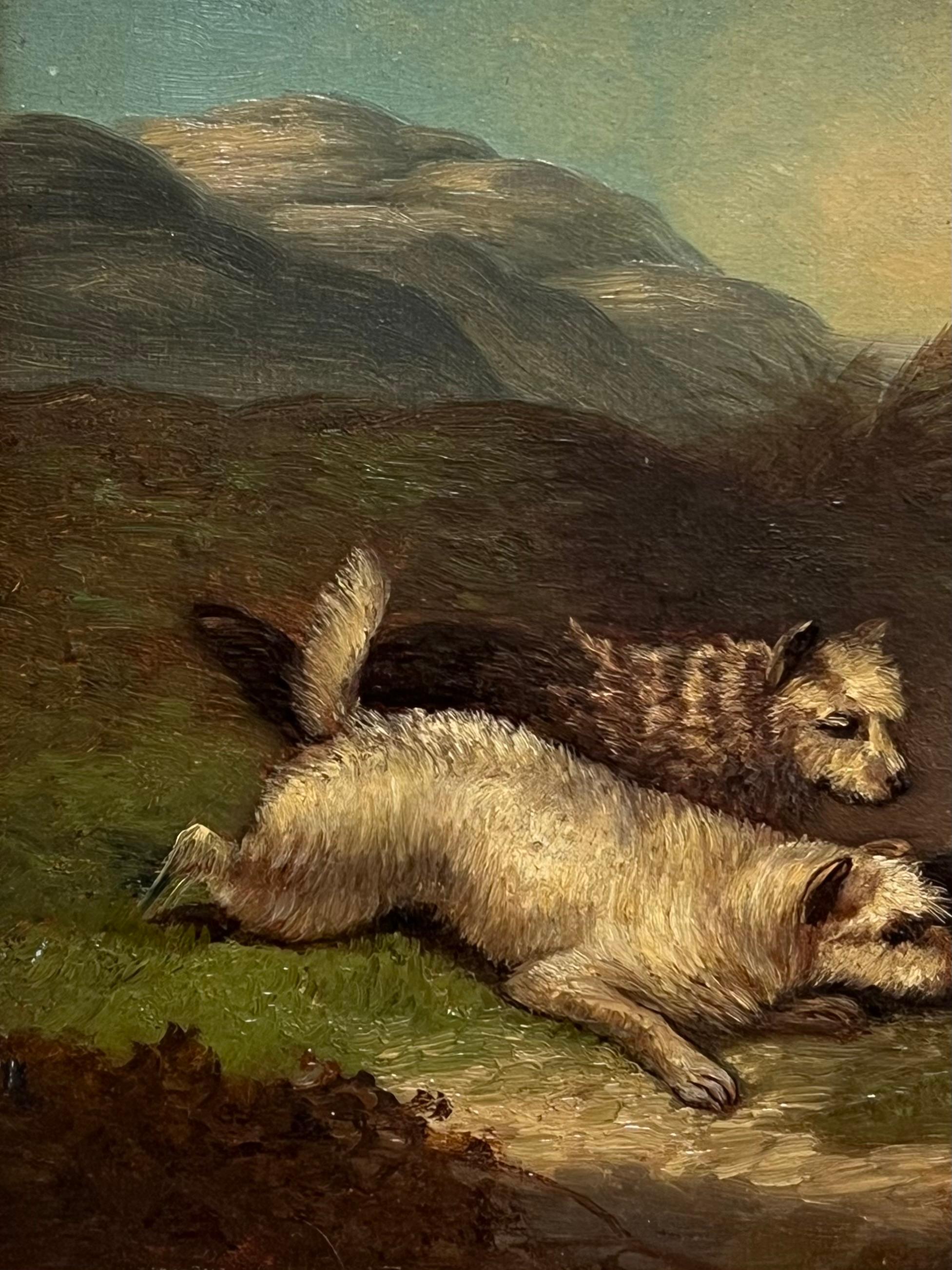 Pittura ad olio inglese vittoriana di pregio con tre cani terrier Highland Rabbit Hole - Painting Vittoriano di Circle of George Armfield (1808-1893)