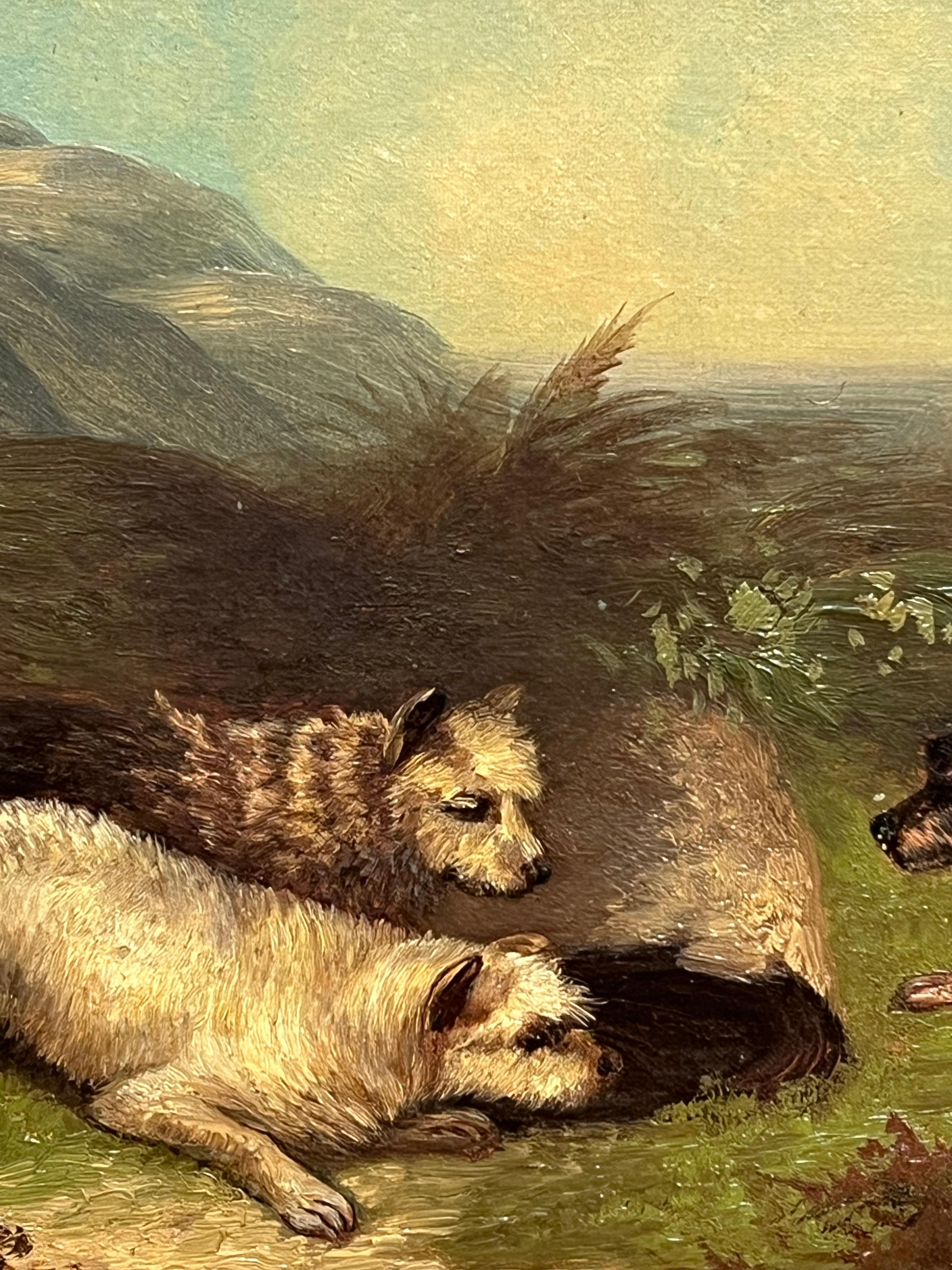 Pittura ad olio inglese vittoriana di pregio con tre cani terrier Highland Rabbit Hole in vendita 2