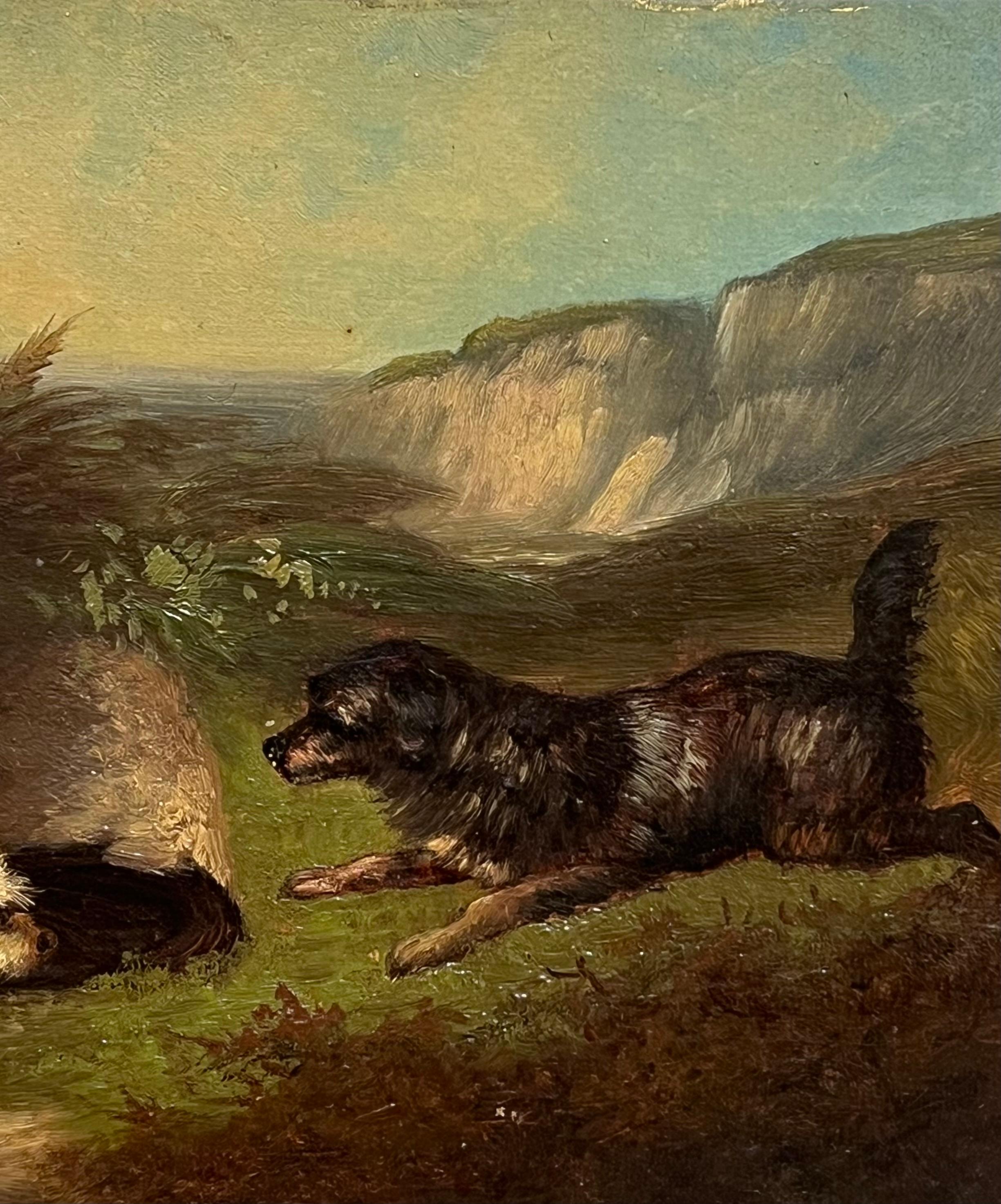 Pittura ad olio inglese vittoriana di pregio con tre cani terrier Highland Rabbit Hole in vendita 3