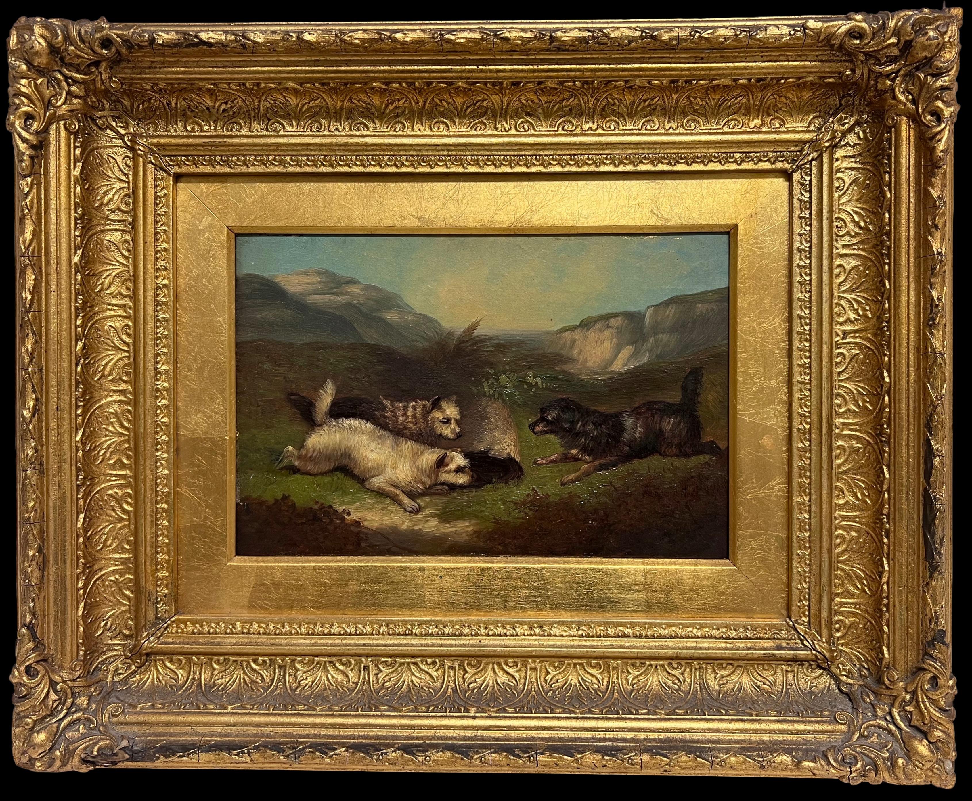 Animal Painting di Circle of George Armfield (1808-1893) - Pittura ad olio inglese vittoriana di pregio con tre cani terrier Highland Rabbit Hole