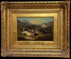 Pittura ad olio inglese vittoriana di pregio con tre cani terrier Highland Rabbit Hole