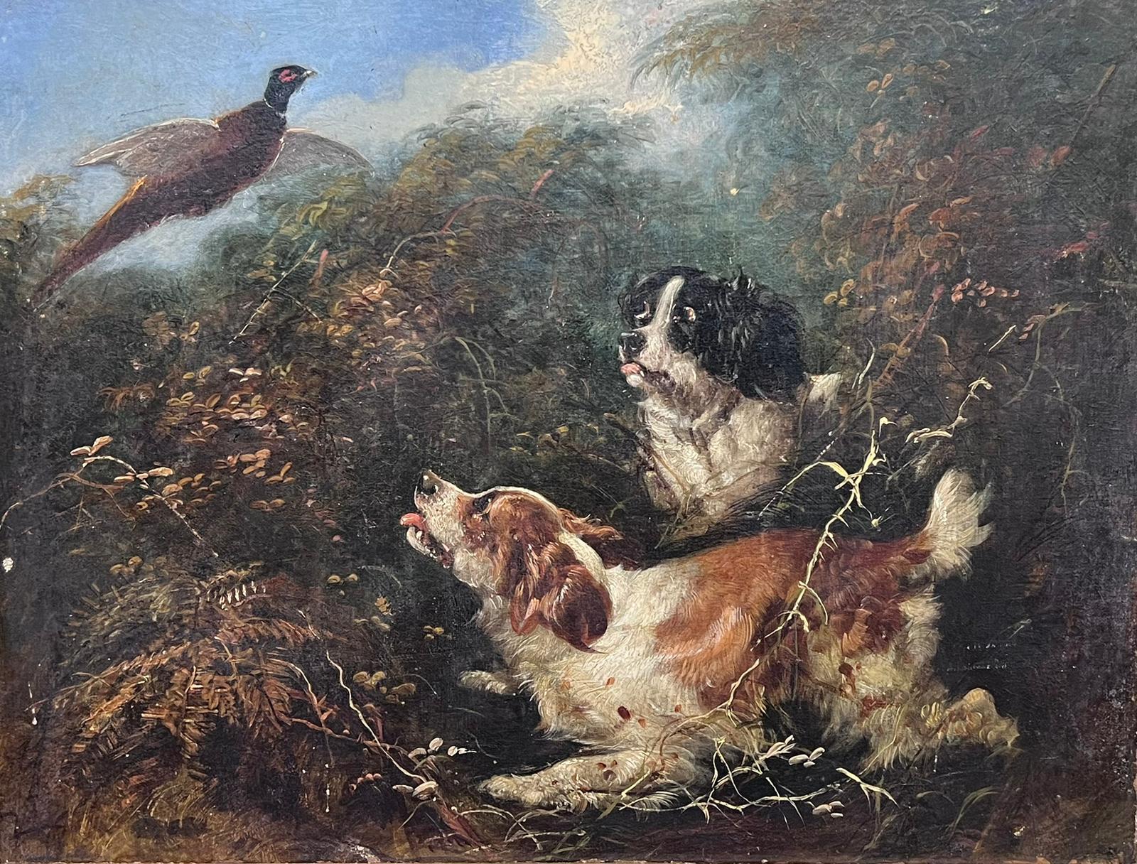 Victorian Sporting Ölgemälde Spaniel Hunde Aufstellen Fasan in Landschaft – Painting von Circle of George Armfield (1808-1893)