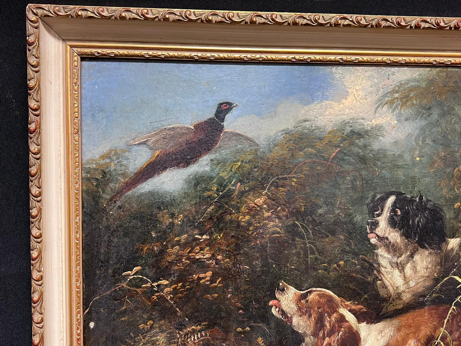 Victorian Sporting Oil Painting Spaniel Dogs Putting up Pheasant in Landscape For Sale 4