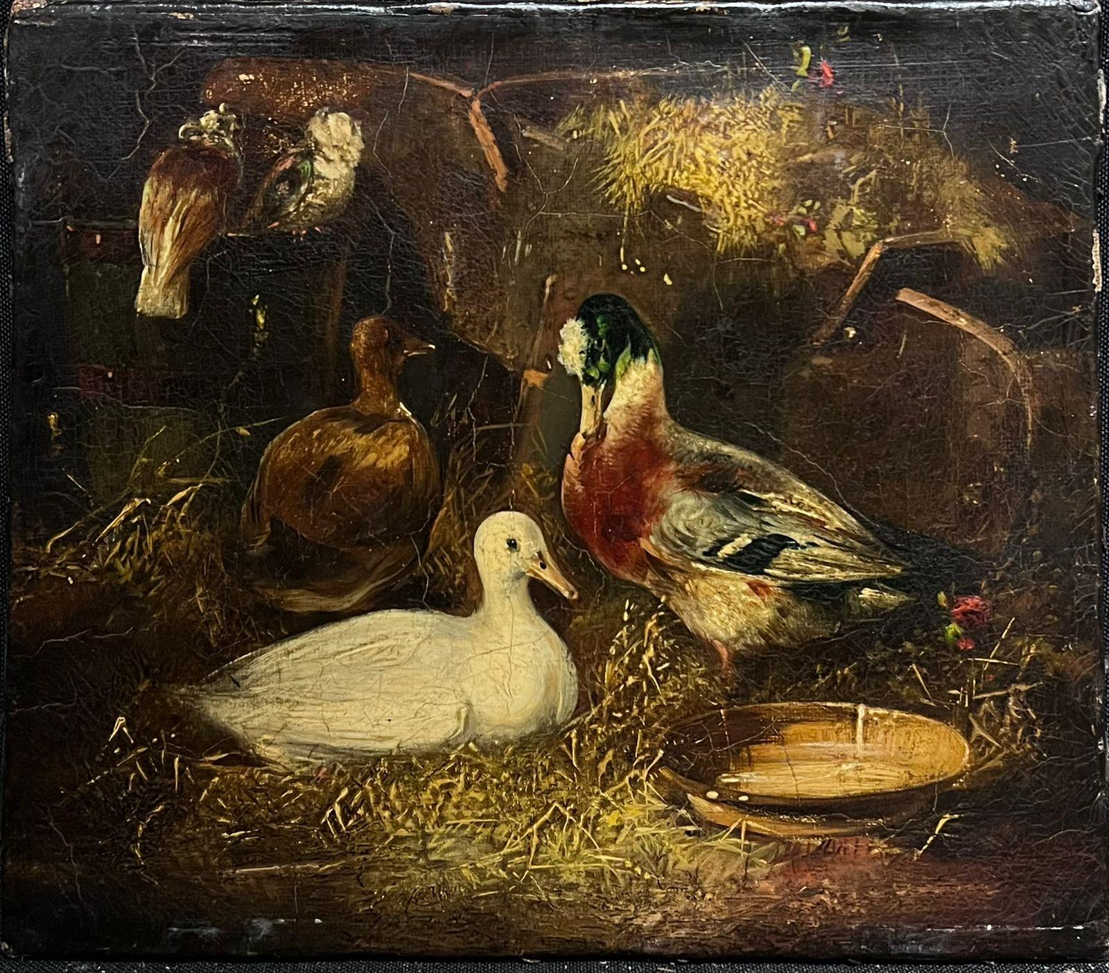 Peinture à l'huile victorienne Canards et pigeons à l'intérieur d'une grange Peinture à l'huile ancienne - Painting de circle of John Frederick Herring Snr (1795-1865)