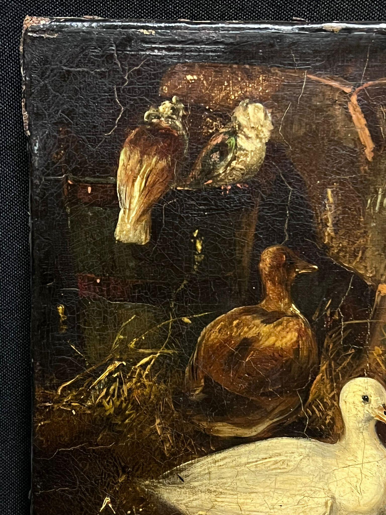 Victorian Oil Painting Ducks & Pigeon in Barn Interior Antique Oil Painting For Sale 2