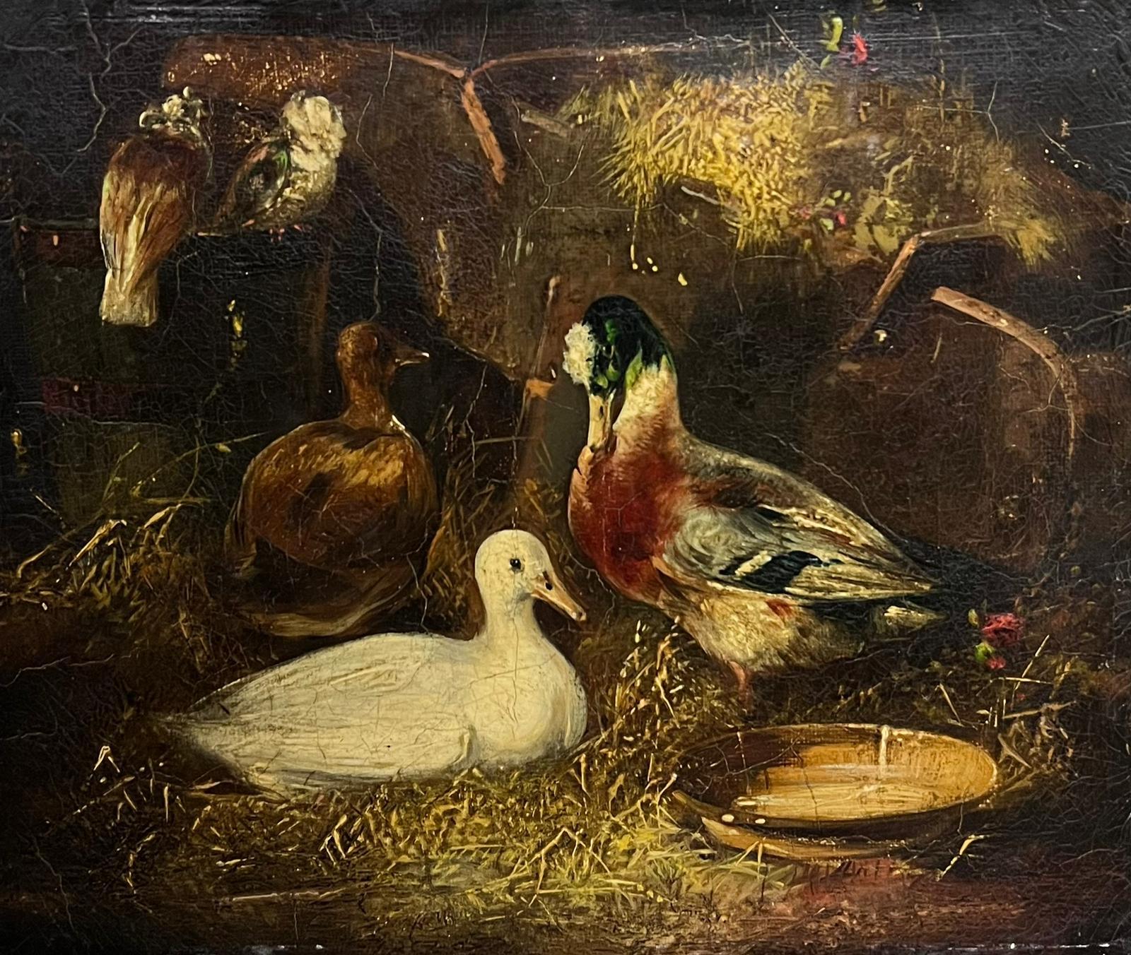 Peinture à l'huile victorienne Canards et pigeons à l'intérieur d'une grange Peinture à l'huile ancienne