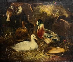 Victorian Oil Painting Ducks & Pigeon in Barn Interior Antique Oil Painting