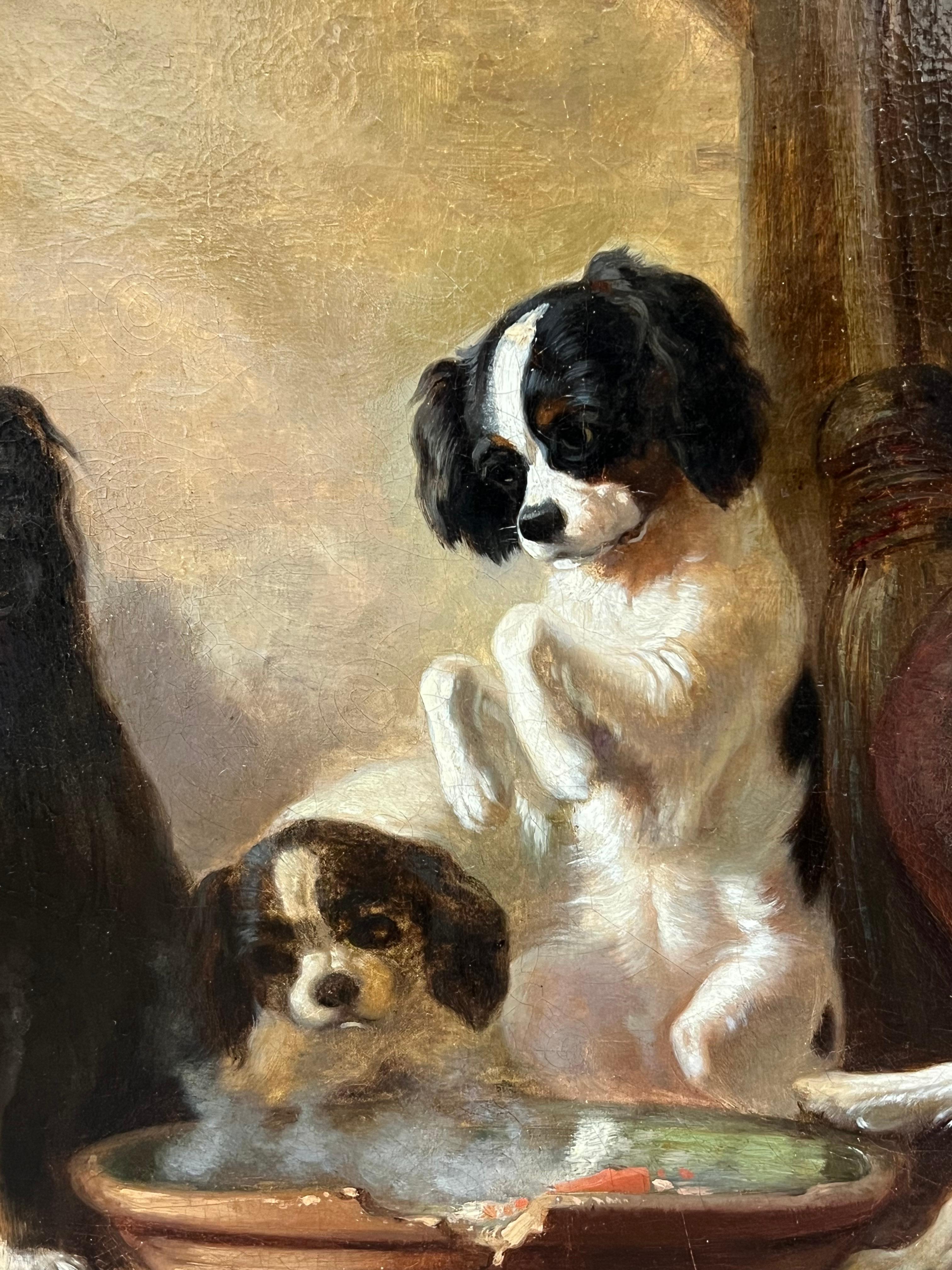 Victorian English 19thC. Oil Playful King Charles Dogs Gathered Around a Bowl 7