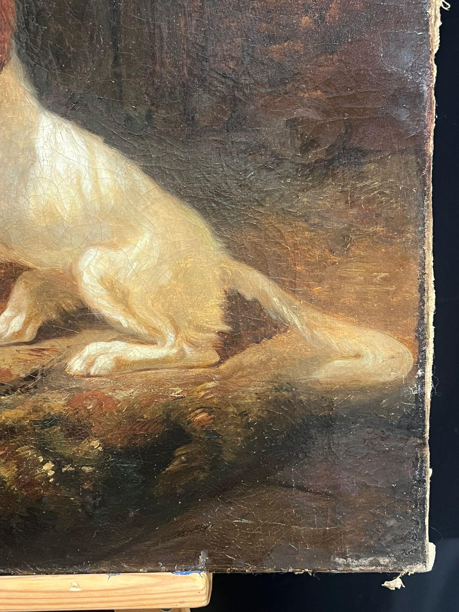 Victorian English 19thC. Oil Playful King Charles Dogs Gathered Around a Bowl 5