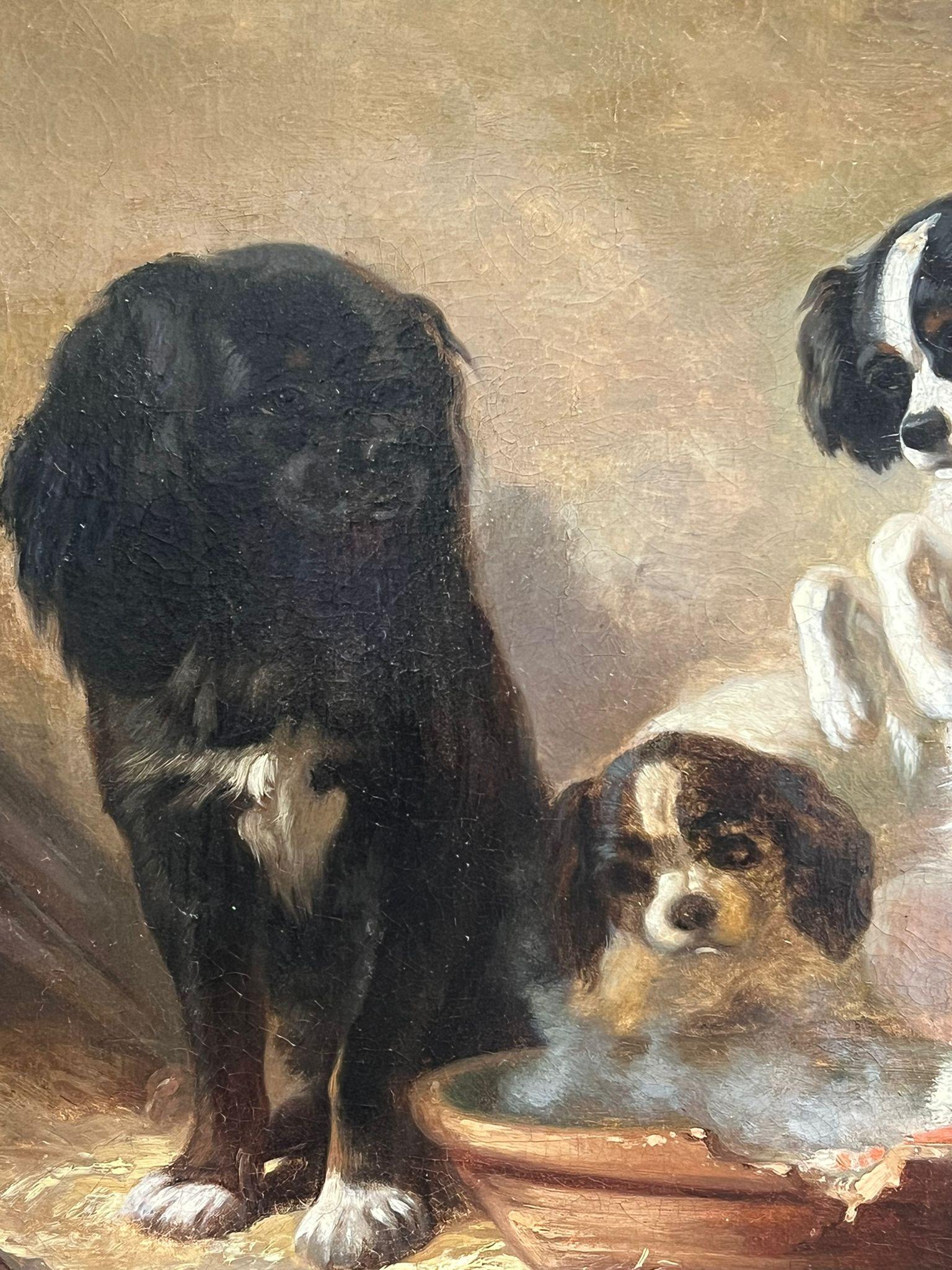 Playful King Charles Dogs
English School, 19th century
circle of Sir Edwin Henry Landseer (1802-1873)
oil on canvas, unframed
Canvas: 23 x 29 inches
Provenance: private collection, Europe
Condition: very good condition 

Description:
This delightful