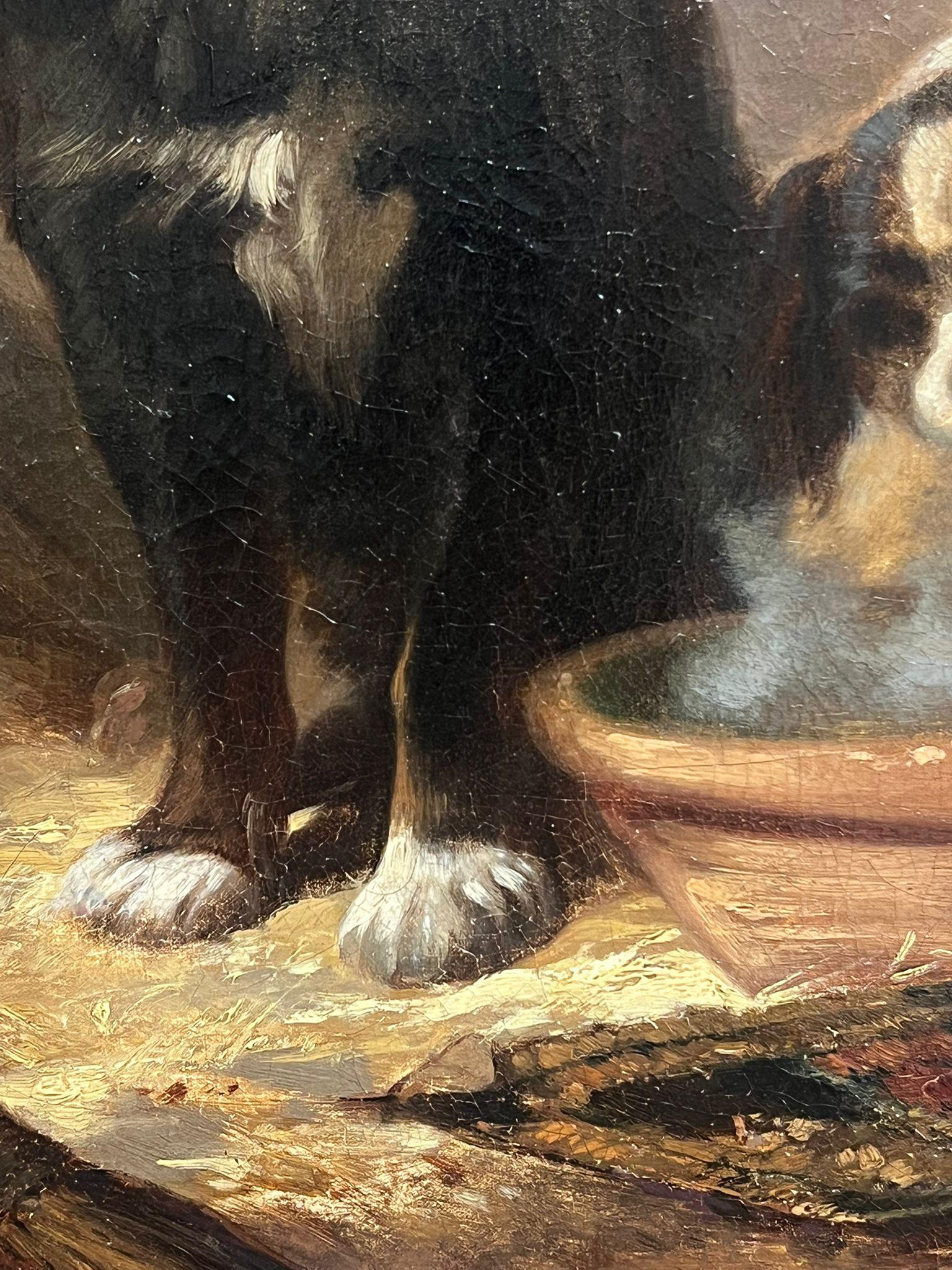 Victorian English 19thC. Oil Playful King Charles Dogs Gathered Around a Bowl 2