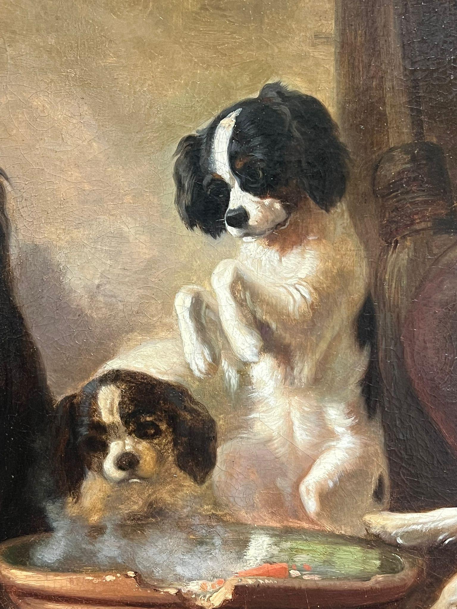 Victorian English 19thC. Oil Playful King Charles Dogs Gathered Around a Bowl 3