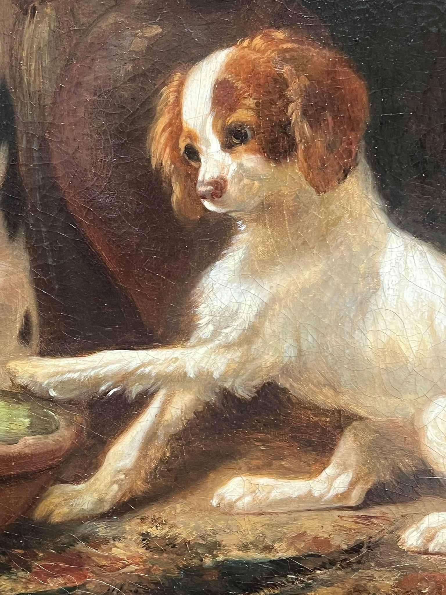 Victorian English 19thC. Oil Playful King Charles Dogs Gathered Around a Bowl 4