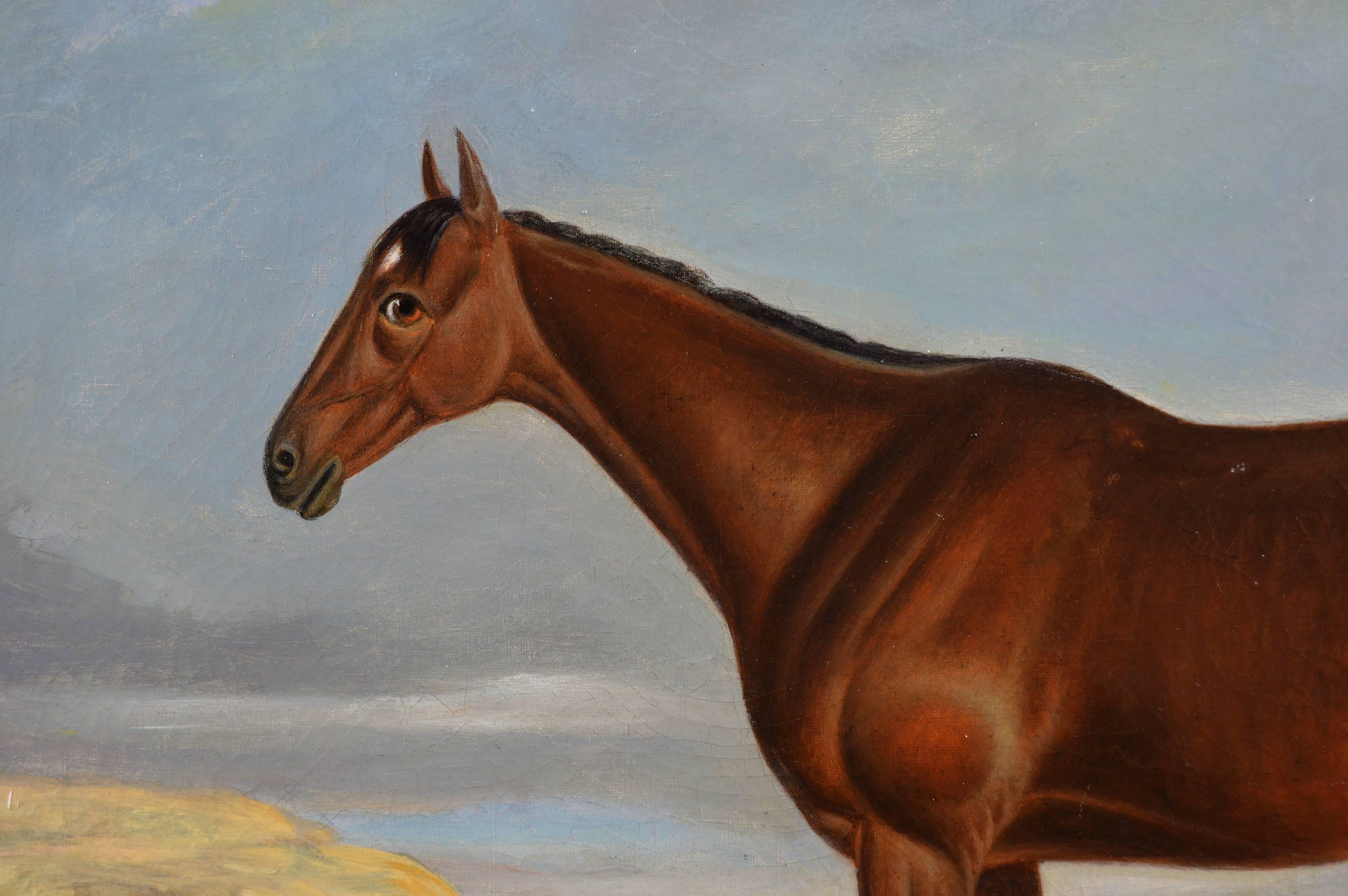 Circle of Thomas Weaver
British, (1774–1843)
Bay Hunter in a Landscape
Oil on canvas
Image size: 22.5 inches x 28.5 inches
Size including frame: 30.5 inches x 36.5 inches
A portrait of a bay hunter set in a landscape. The horse is well groomed with