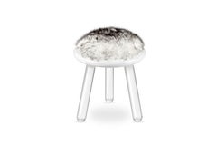 Illusion White Bear Kids Stool in Clear Acrylic by Circu Magical Furniture