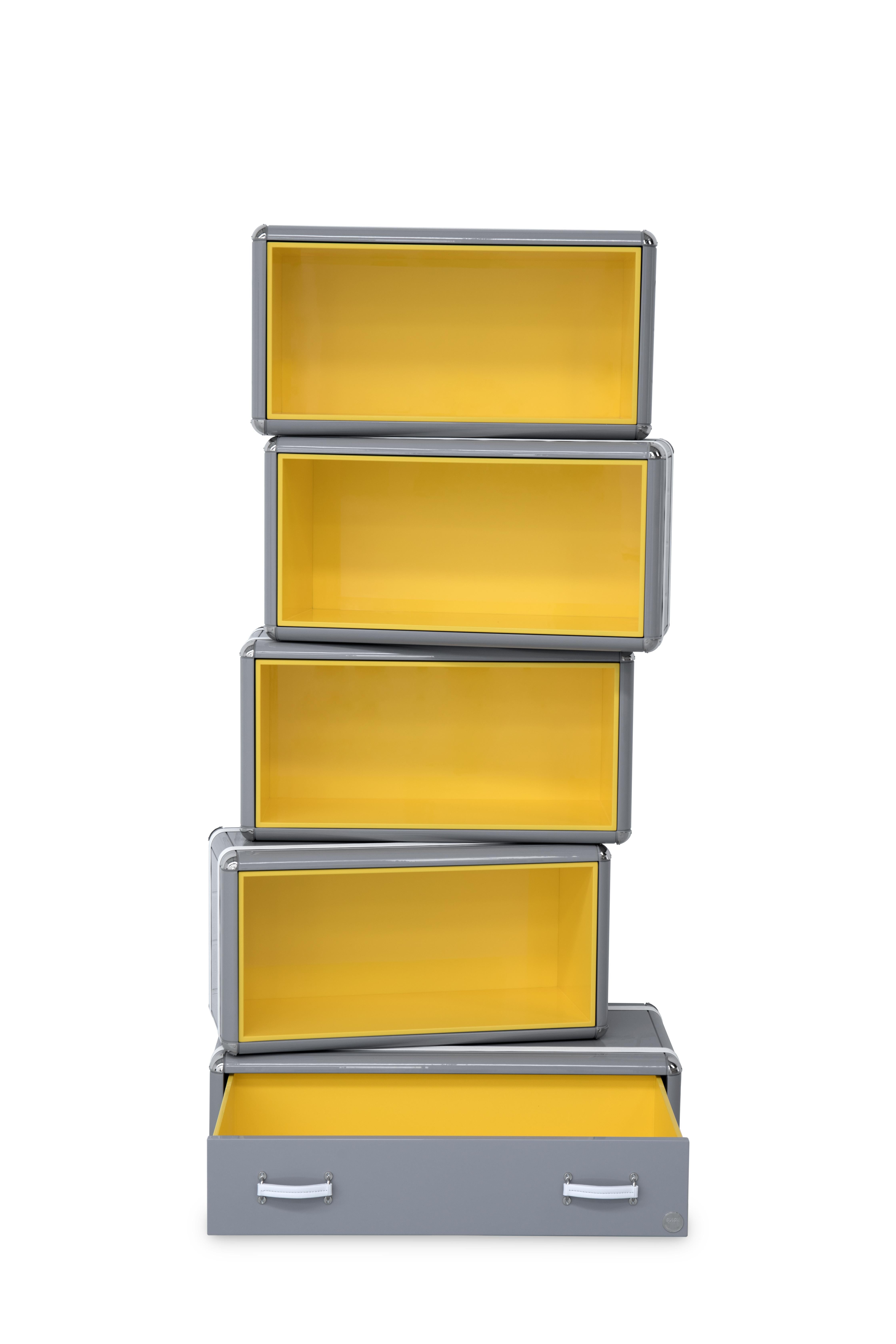 Sky Bookcase in Dark Gray Wood with Yellow Interior In New Condition For Sale In New York, NY
