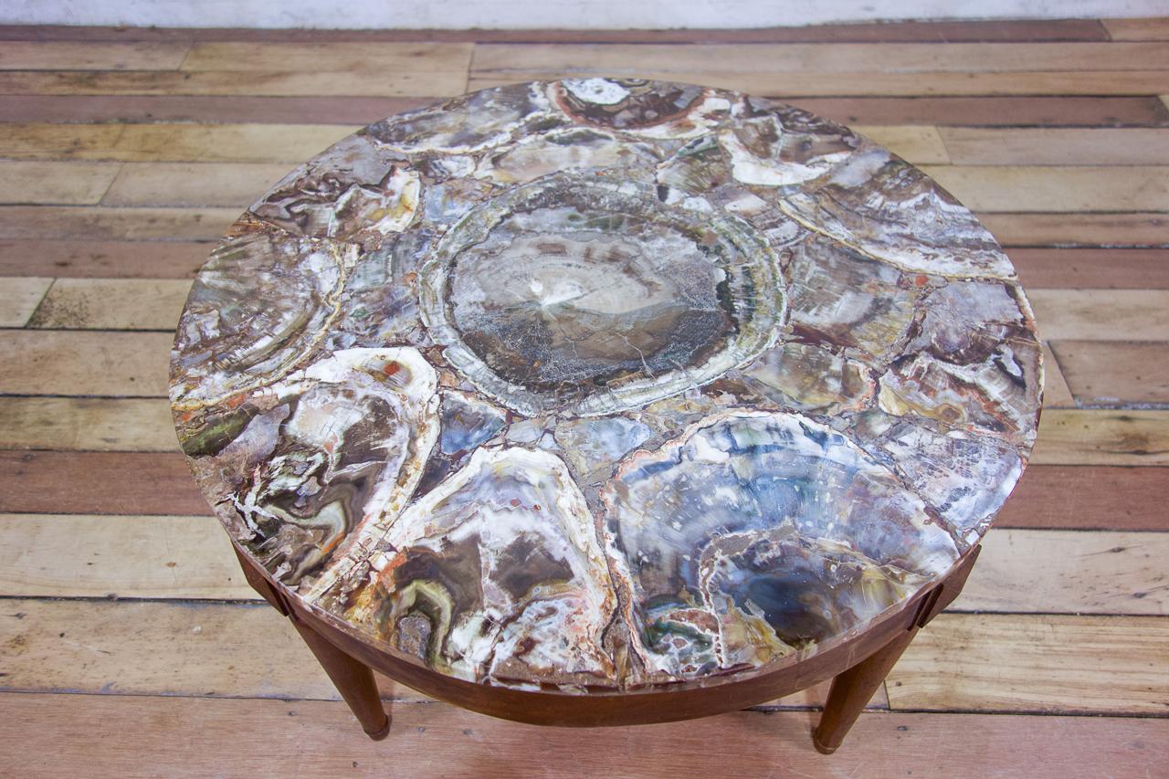 A 19th Century Small Circular Walnut Petrified Wood Low Coffee Table - Fossil  5