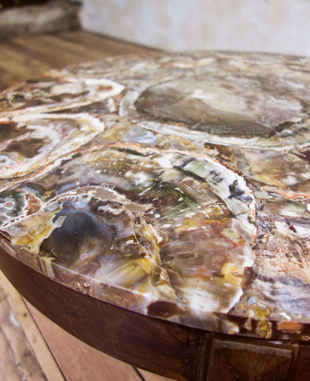 A 19th Century Small Circular Walnut Petrified Wood Low Coffee Table - Fossil  2