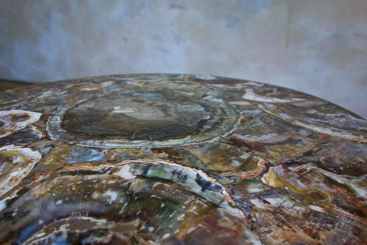 A 19th Century Small Circular Walnut Petrified Wood Low Coffee Table - Fossil  3