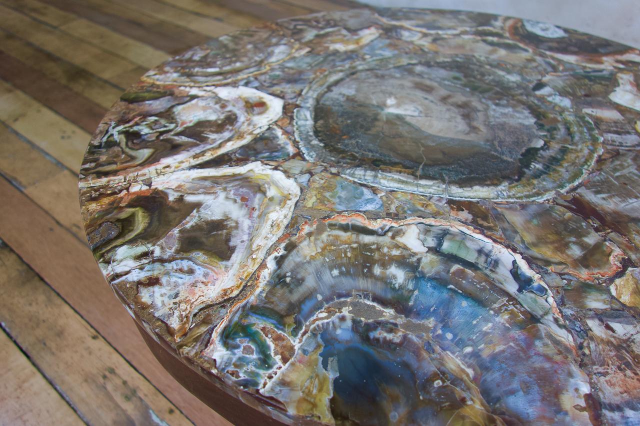 A 19th Century Small Circular Walnut Petrified Wood Low Coffee Table - Fossil  4