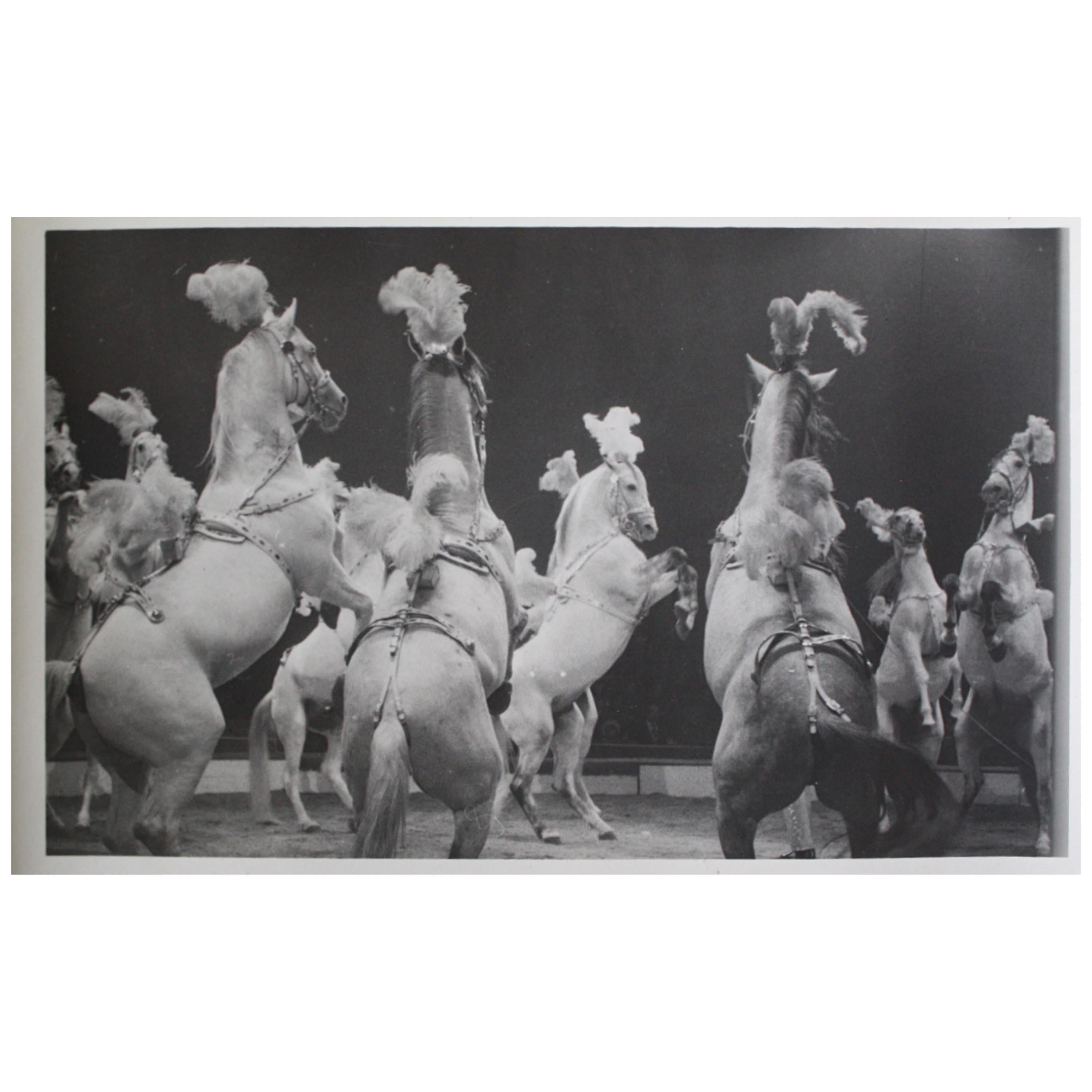 Circus Gelatin Silver Prints Photography in the Manner of Kurt Hutton circa 1940