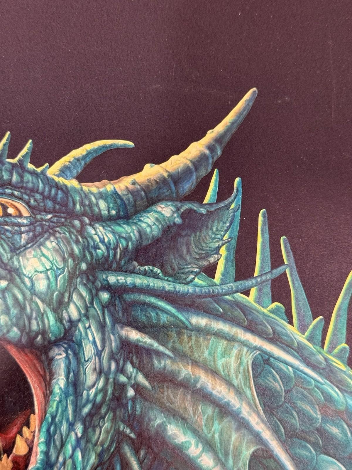 Ciruelo Cabral Illustration Original Art Front Cover For Book Of Dragon For Sale 6