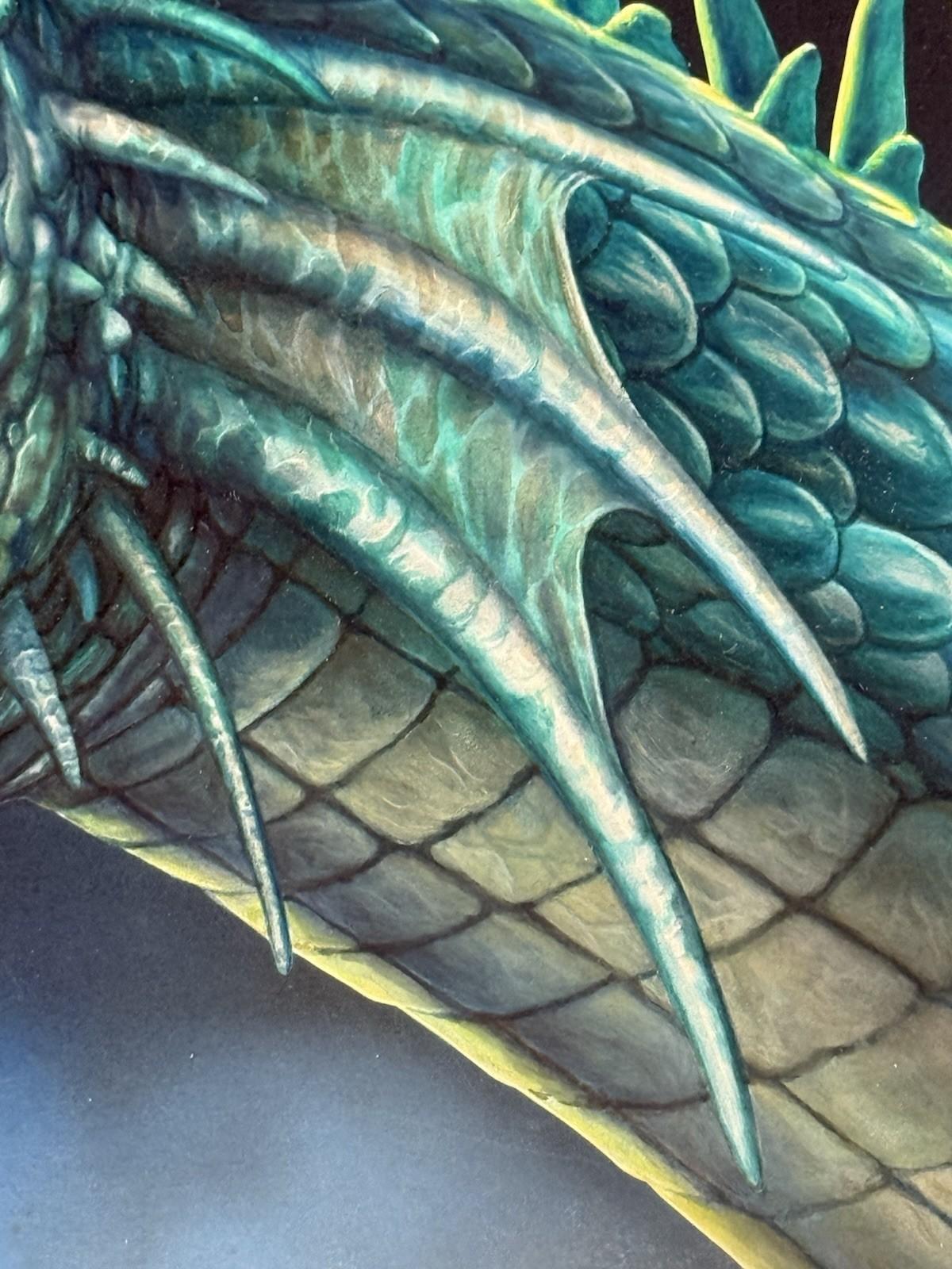 Ciruelo Cabral Illustration Original Art Front Cover For Book Of Dragon For Sale 2