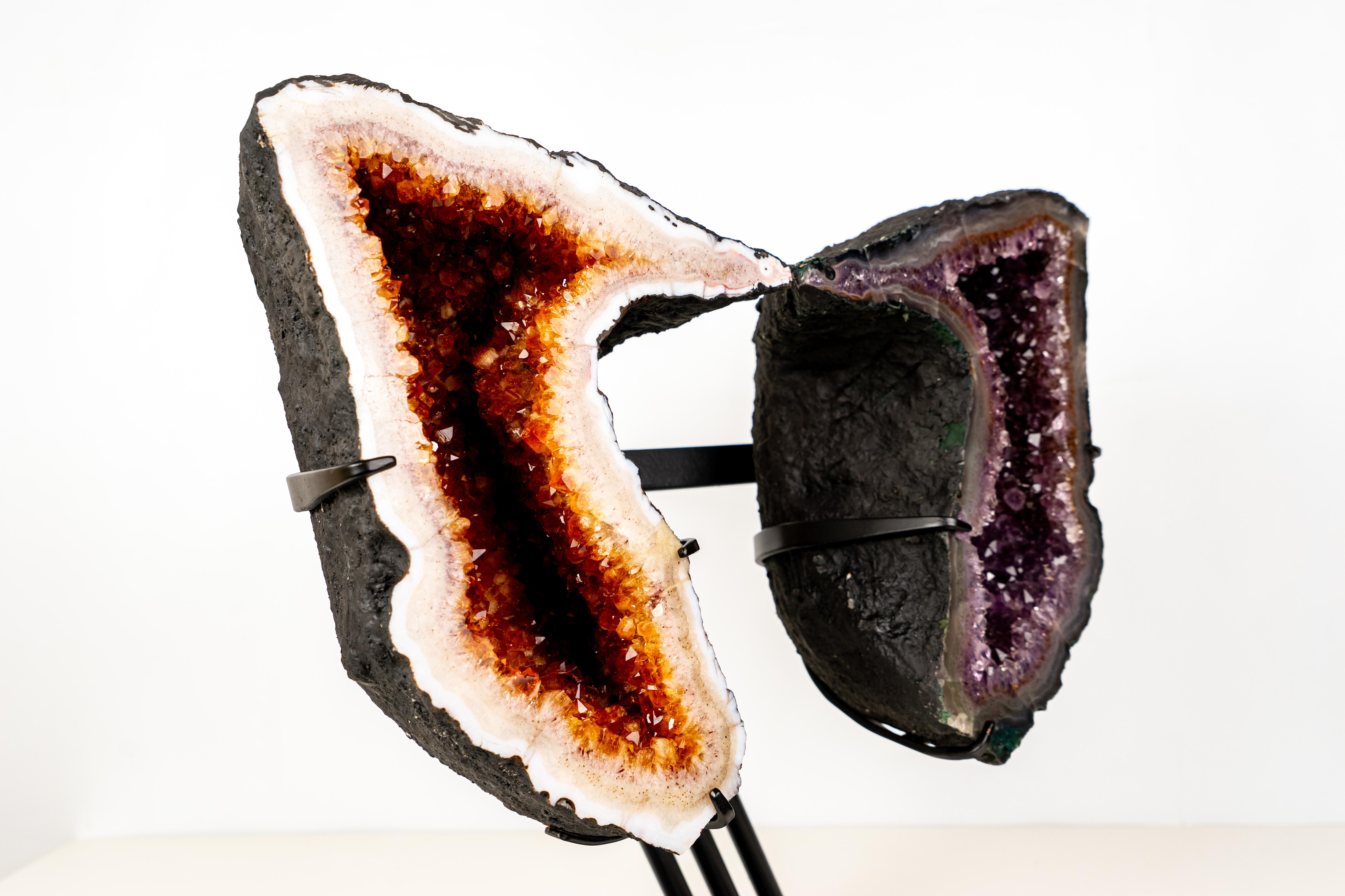 Ali di geode di citrino e ametista In condizioni Nuovo in vendita a Ametista Do Sul, BR