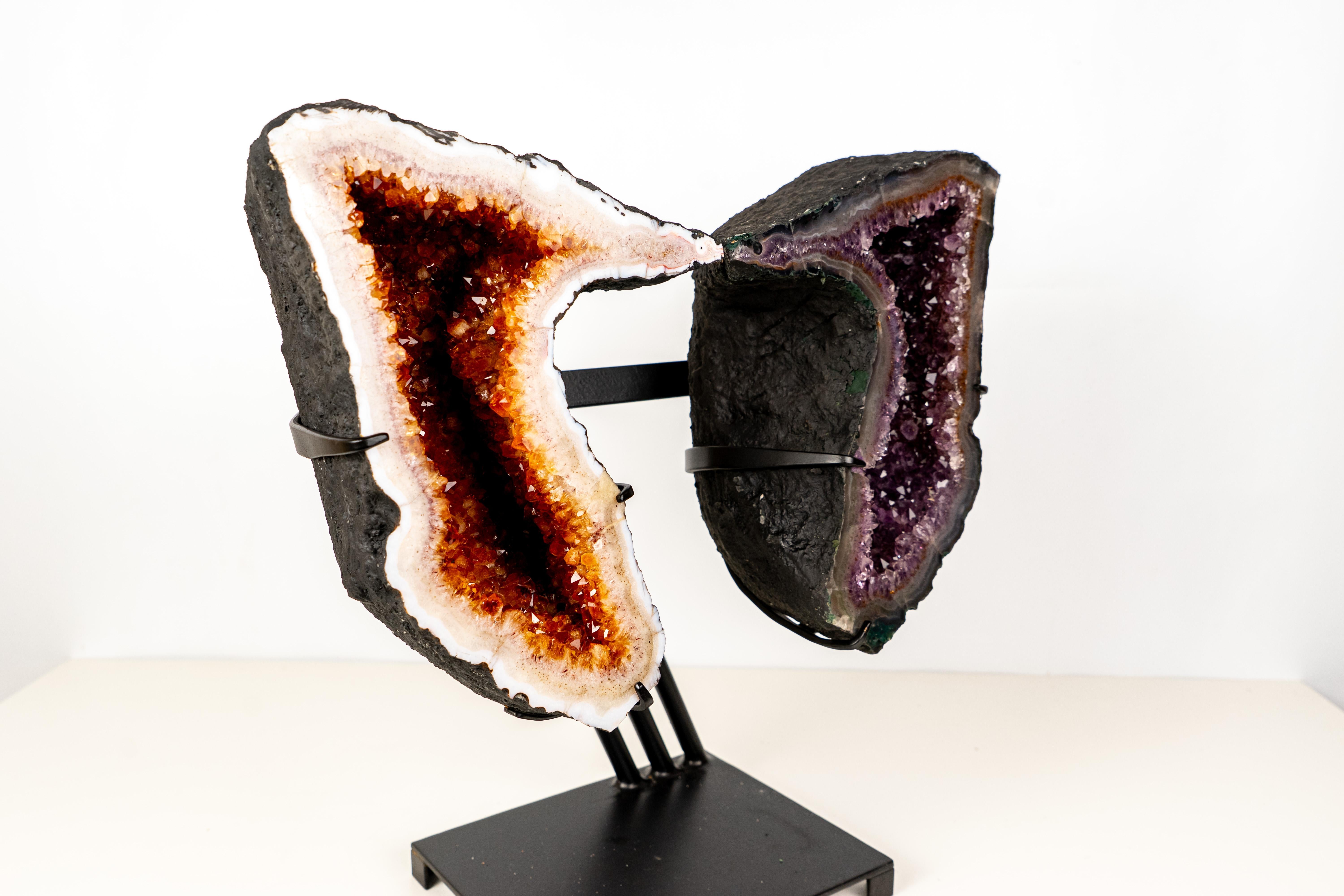 XXI secolo e contemporaneo Ali di geode di citrino e ametista in vendita