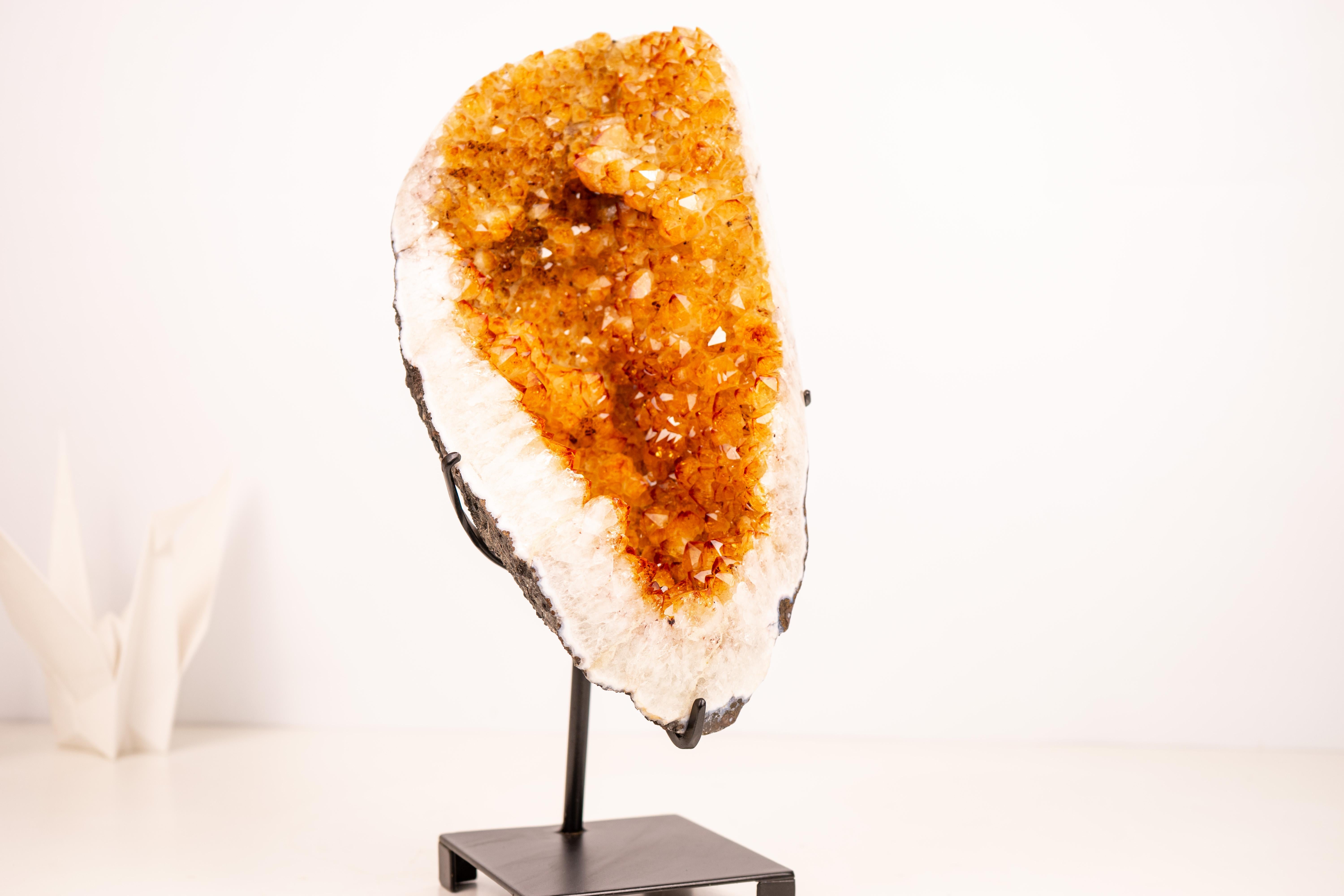 Un piccolo e bellissimo esemplare di Citrino che irradia una calda energia dorata e scintille drugiose eccezionali.

▫️ Descrizione

Questo piccolo, ma bellissimo cluster di Citrino attira l'attenzione al primo sguardo. La sua formazione è