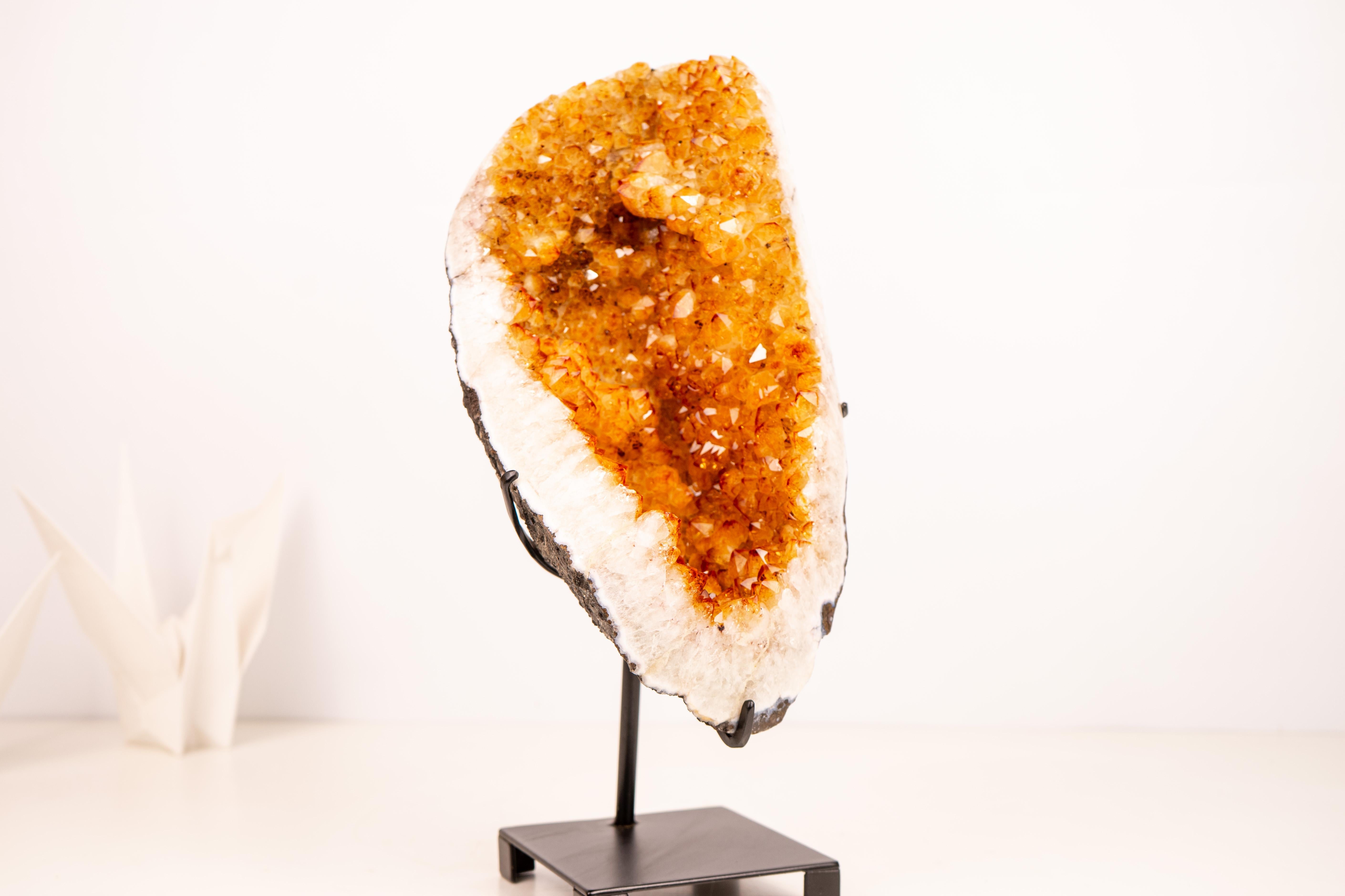 Cluster di citrino con druzy arancio-dorato su supporto personalizzato In condizioni Nuovo in vendita a Ametista Do Sul, BR