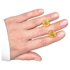 Boucles d
oreilles cocktail citrine 4,10 carats au total