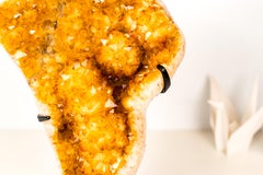 Citrine Crystal Cluster with Rare Stalactite Flowers