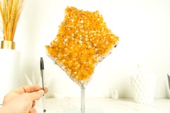 Citrine Crystal with Shiny Golden Yellow Citrine Druzy on Display