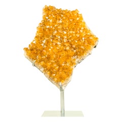 Citrine Crystal with Shiny Golden Yellow Citrine Druzy on Display