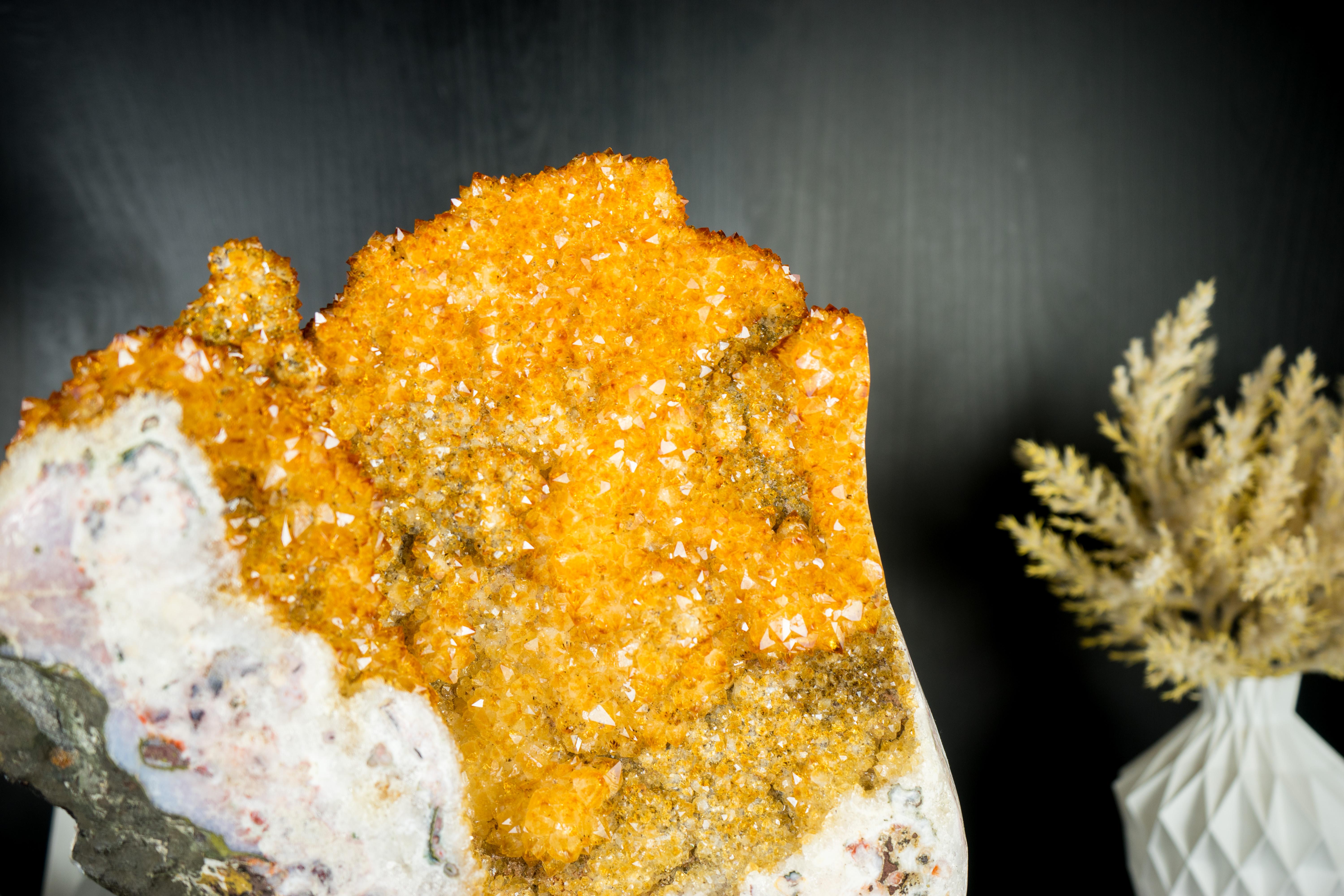 Citrine Flower Specimen with High-Grade Sparkling Golden Orange Druzy on Stand For Sale 5