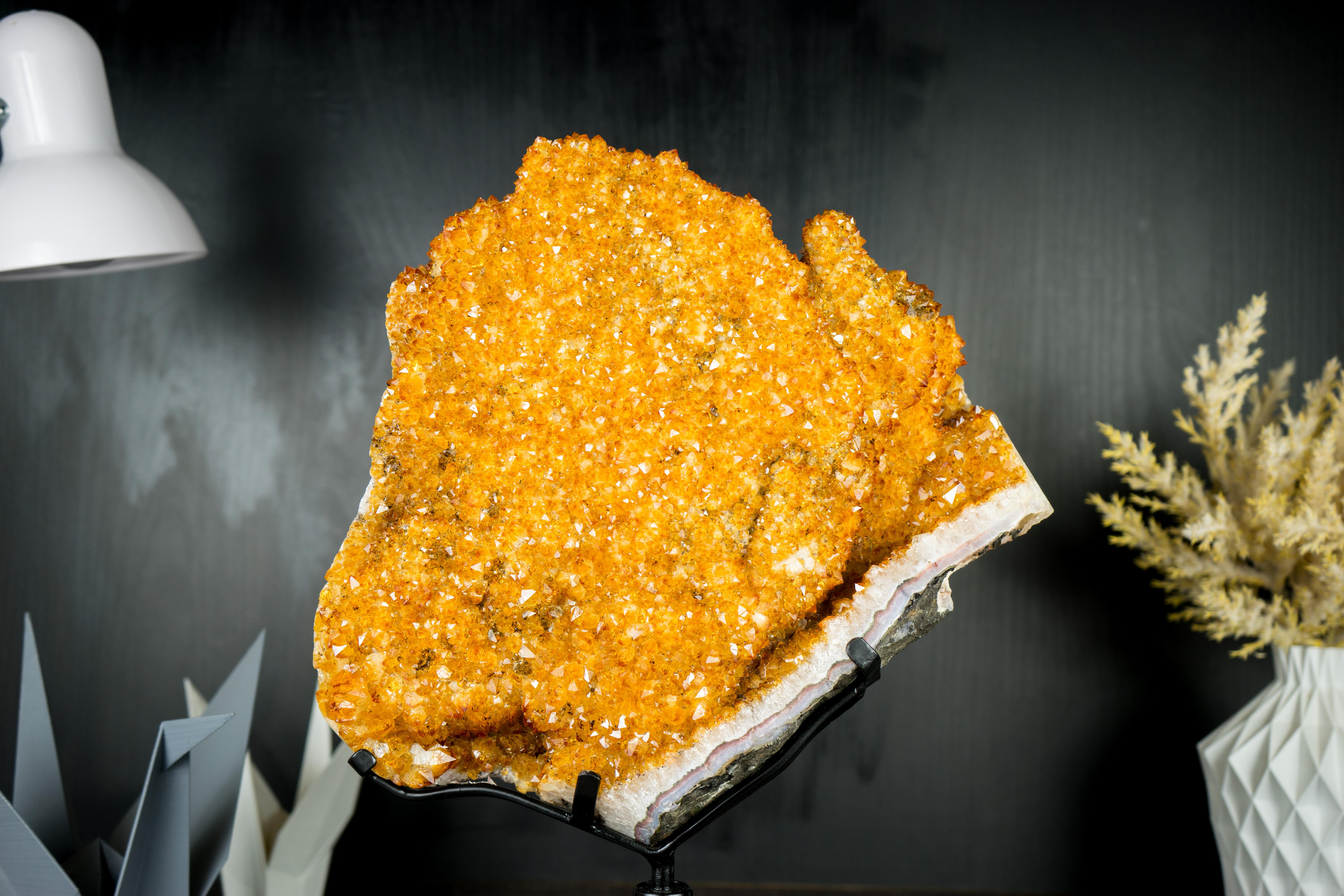 Espécimen de flor de citrino con drusa naranja dorada brillante de alto grado sobre soporte en venta 8