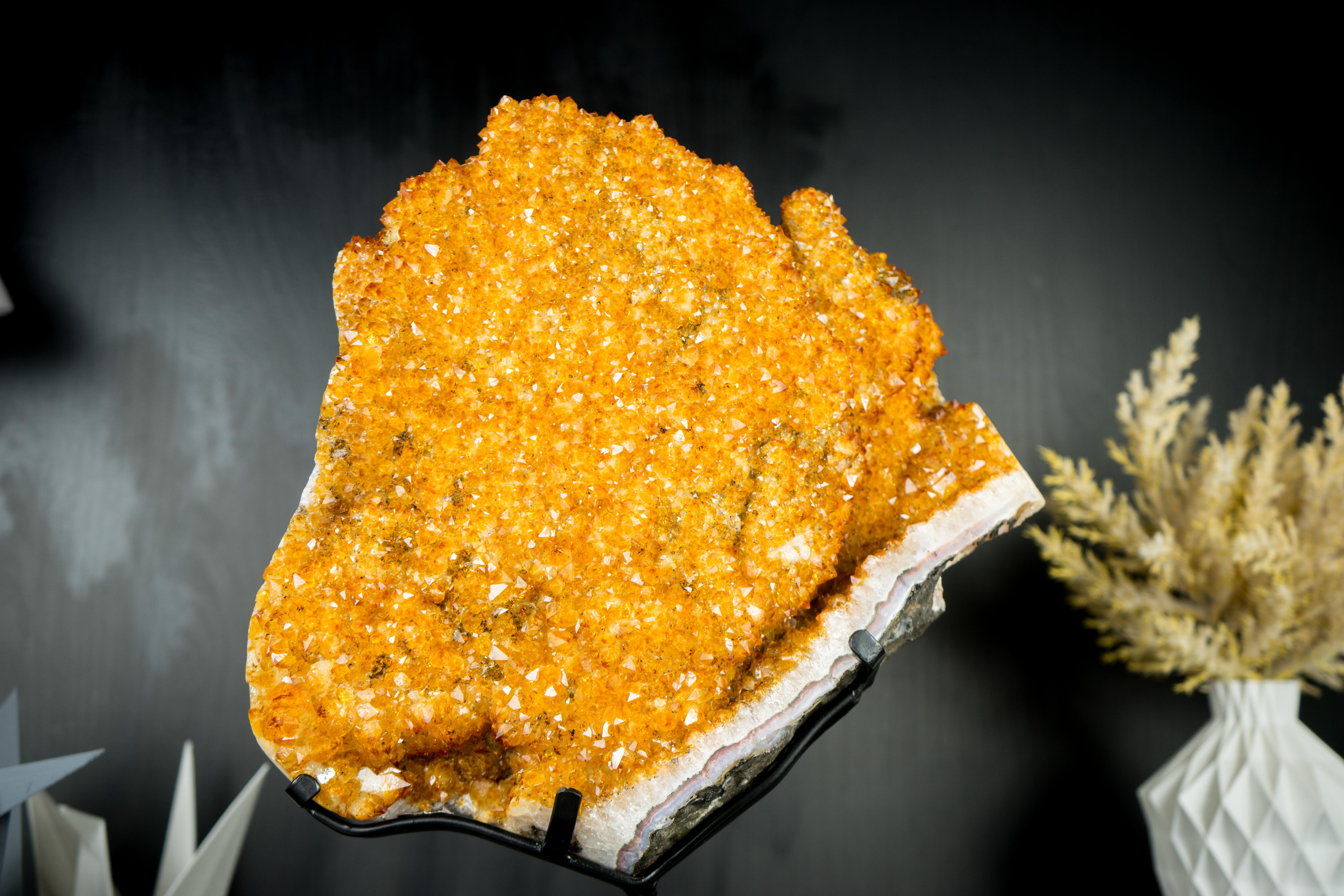 Espécimen de flor de citrino con drusa naranja dorada brillante de alto grado sobre soporte en venta 9