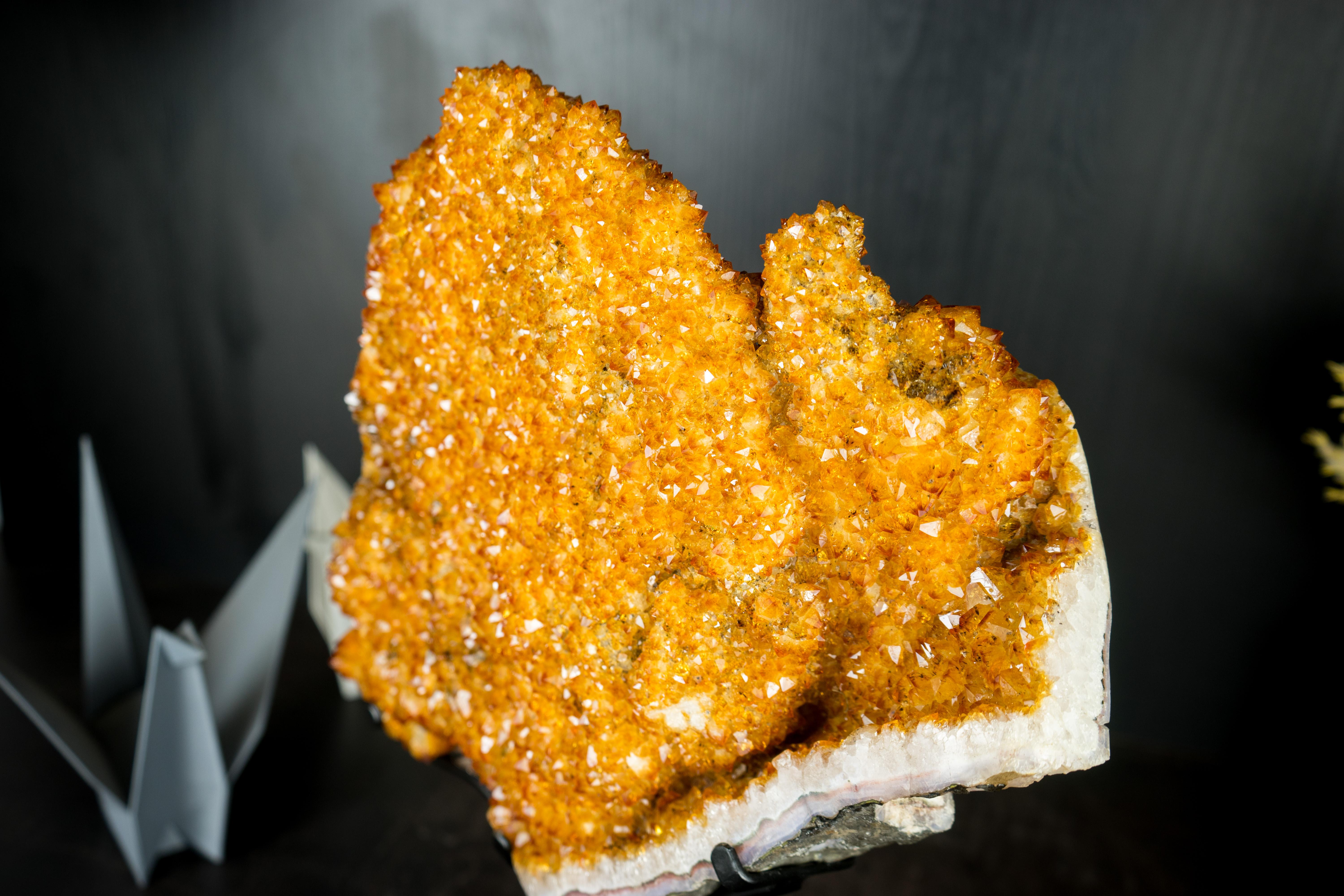 Contemporary Citrine Flower Specimen with High-Grade Sparkling Golden Orange Druzy on Stand For Sale