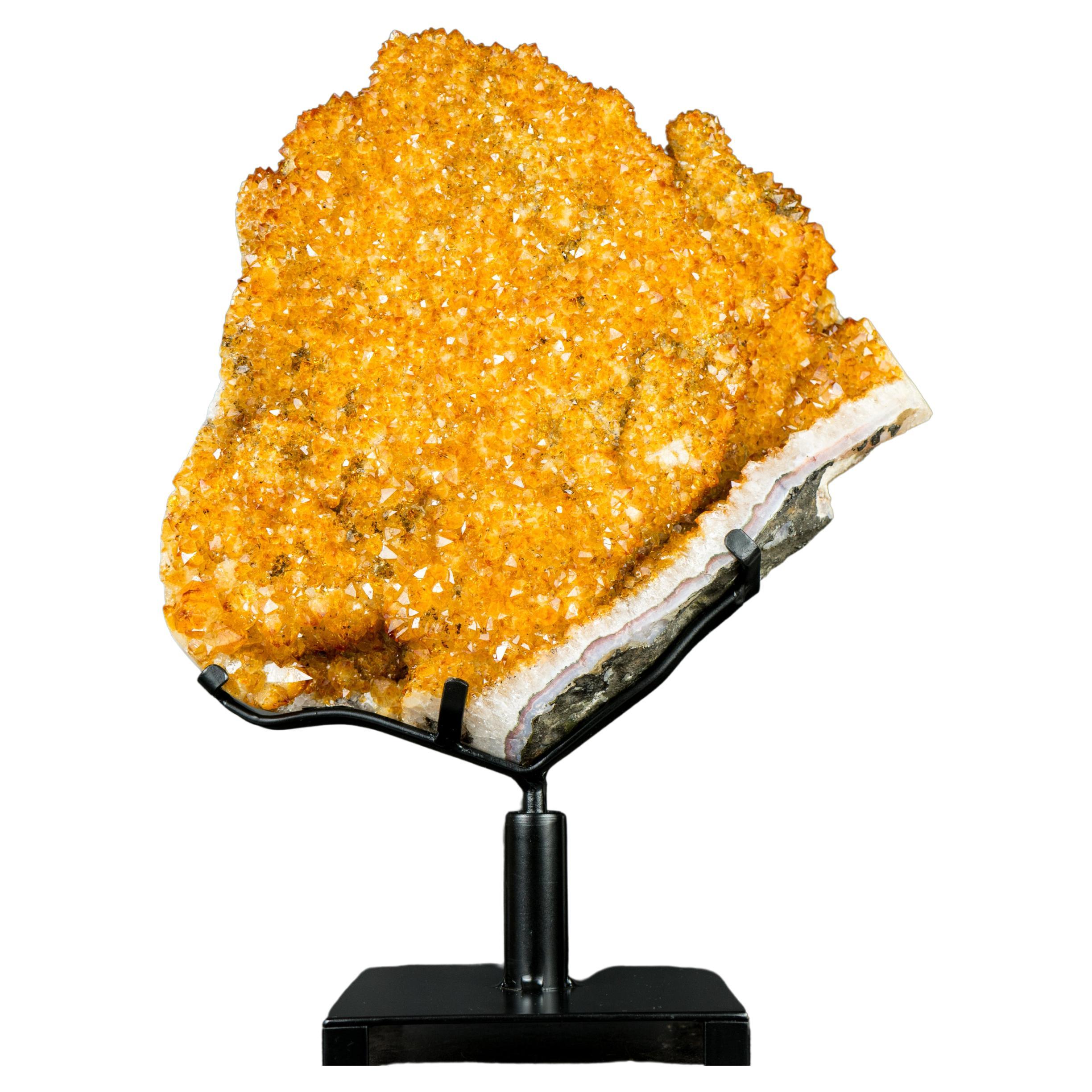 Citrine Flower Specimen with High-Grade Sparkling Golden Orange Druzy on Stand For Sale