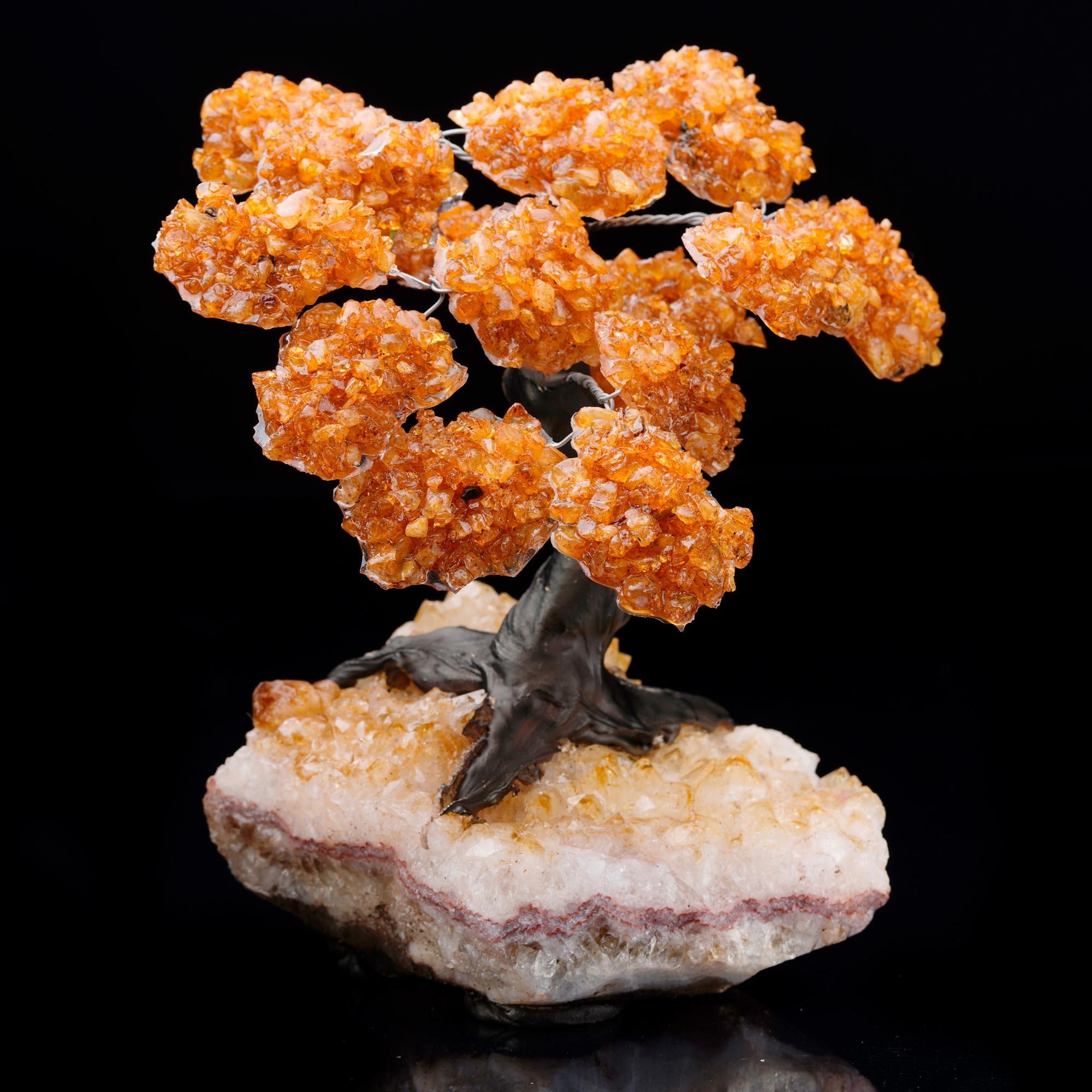 This handcrafted Citrine gem tree invites elegance and natural beauty into your space. Each “branch” is adorned with rich orange polished Citrine crystals that shimmer with light, wired with care to create a lush, organic canopy. The sculptural form
